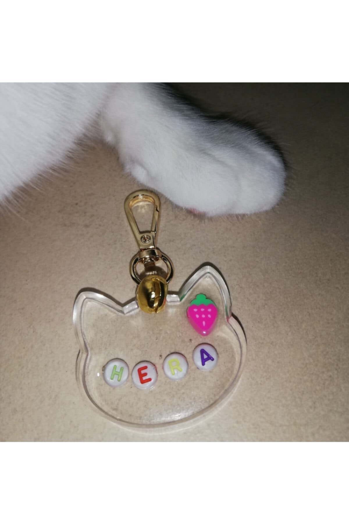 MYNOVA HOME Isimli Kedi Köpek Tasma Künyesi Hera Model