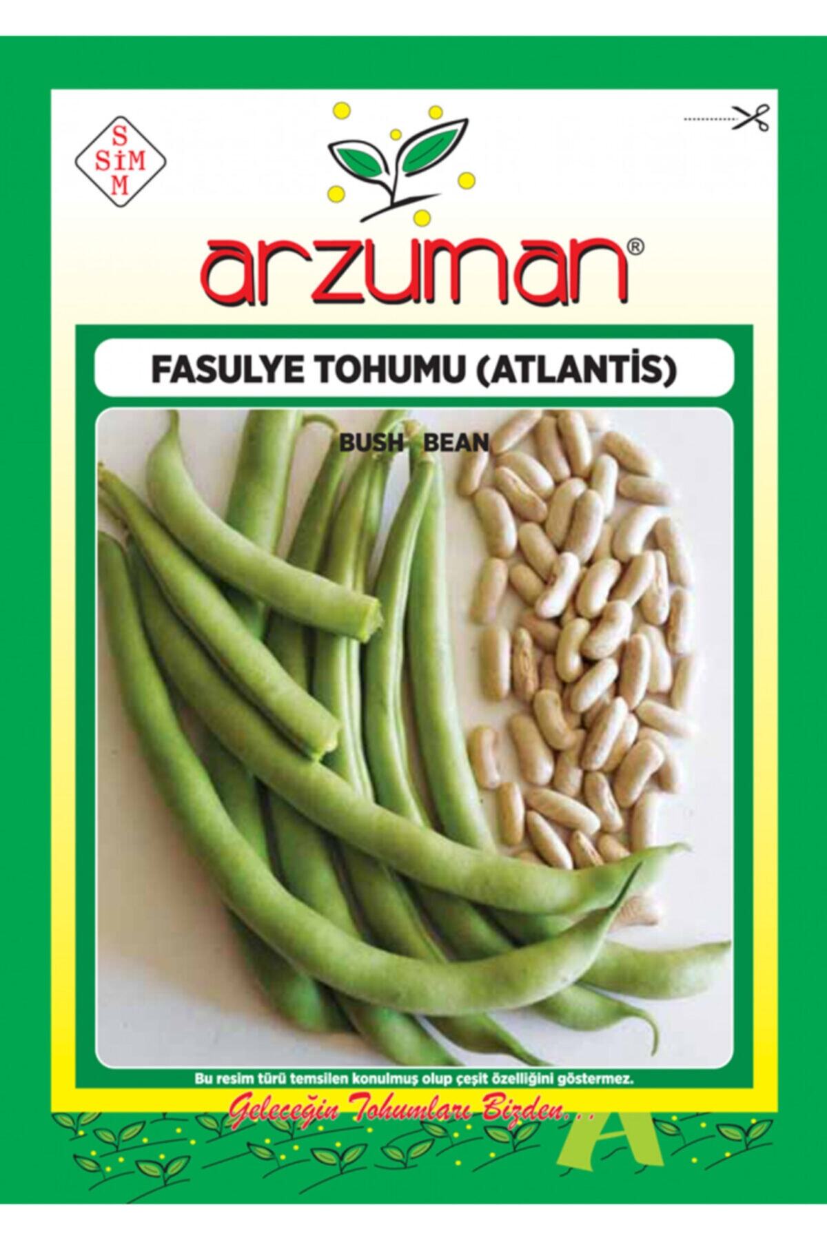 GüçlüTedarik Atlantis Oturak Fasulye Tohumu 100 Tohumu 50 Gr