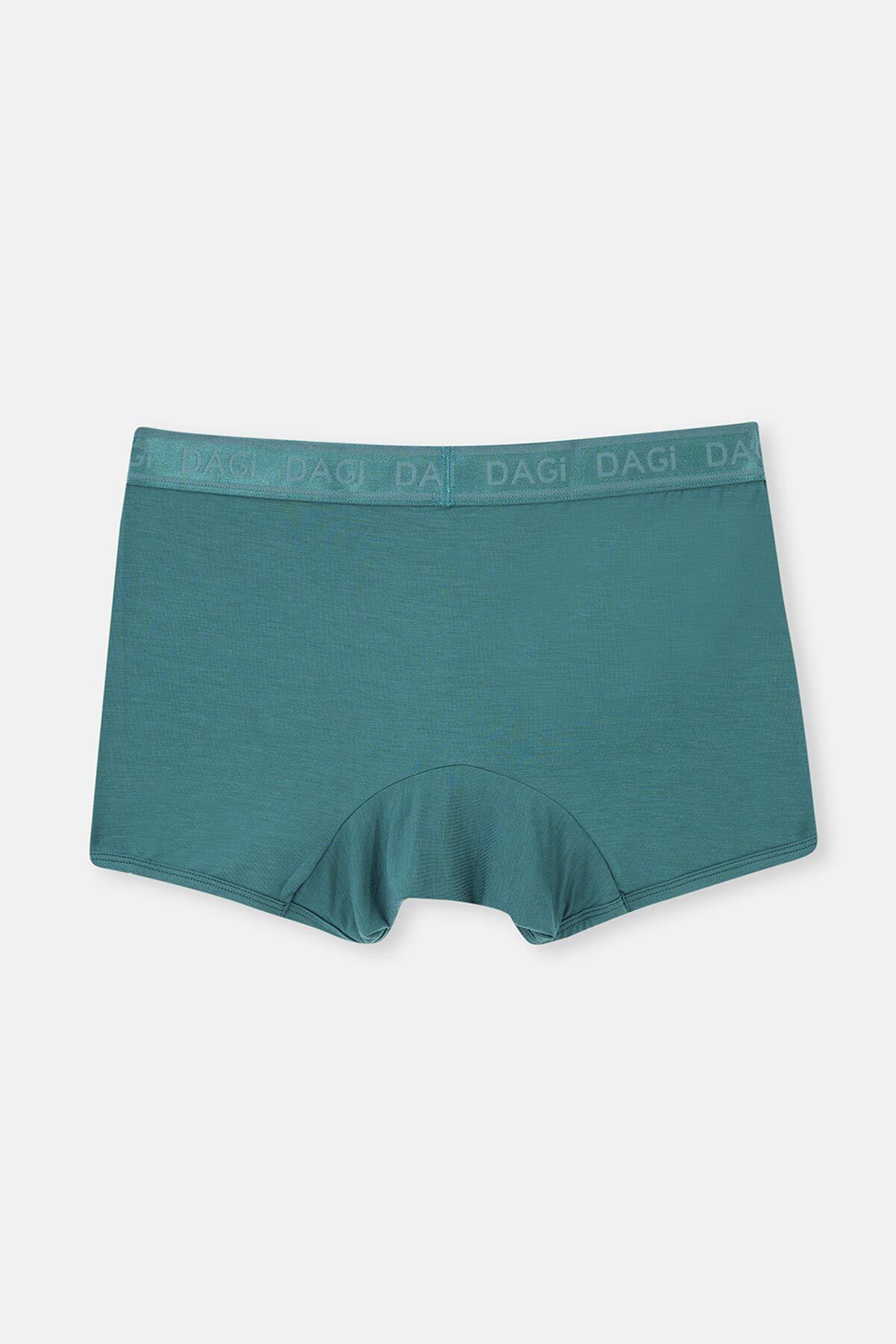 Gri-Mint-Petrol Yeşili 4210 3'Lü Düz Mıcro Modal Boxer