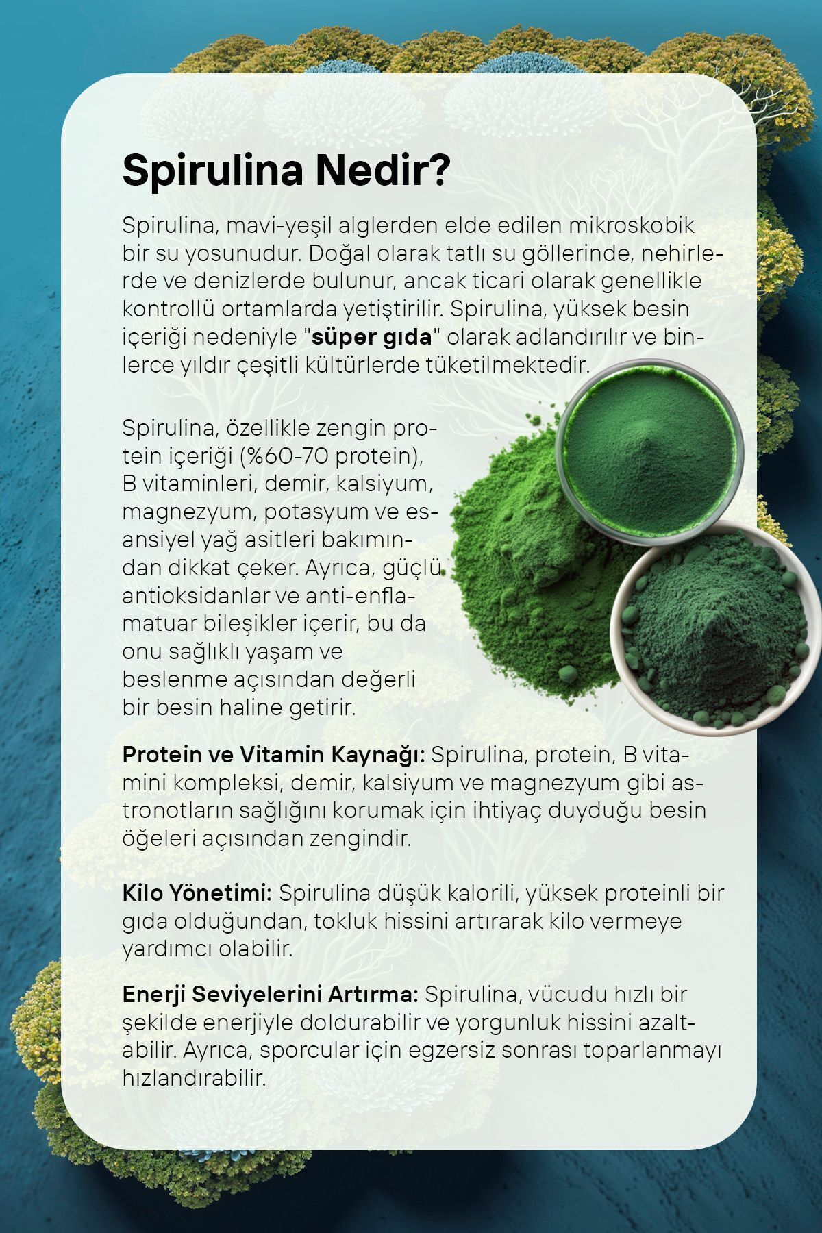 Form Kahvesi 8 Farklı Kahve Ve Spirulina Içerikli 100 G