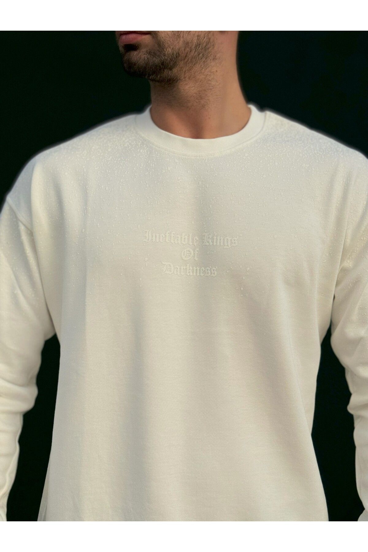 Desenli Erkek Sweatshirt