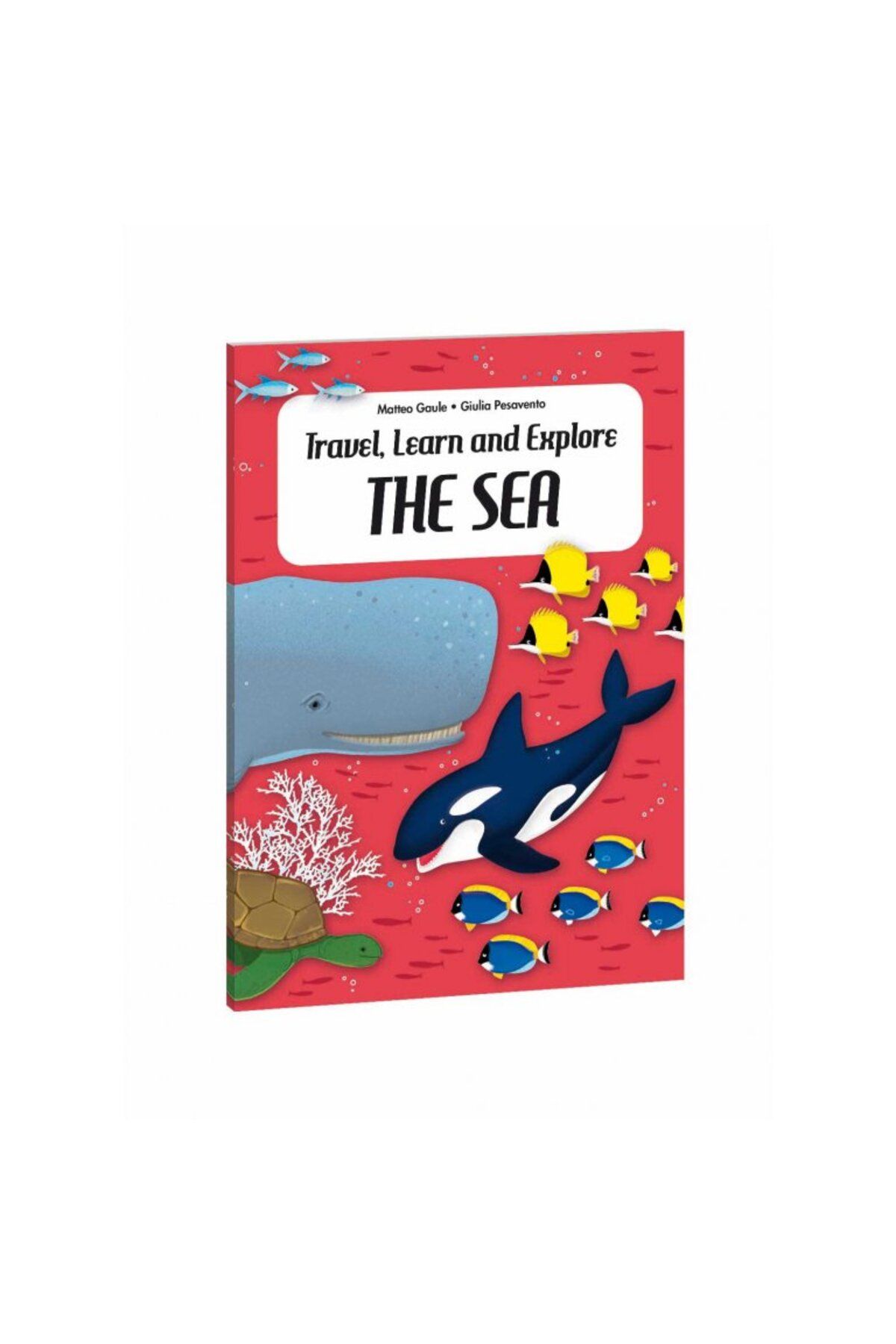 Travel- Learn And Explore - The Sea