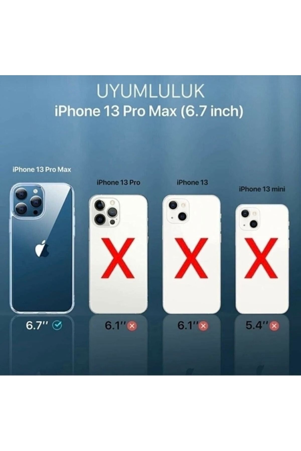 Iphone 13 Pro Max Uyumlu Hologram Flowers Kılıf