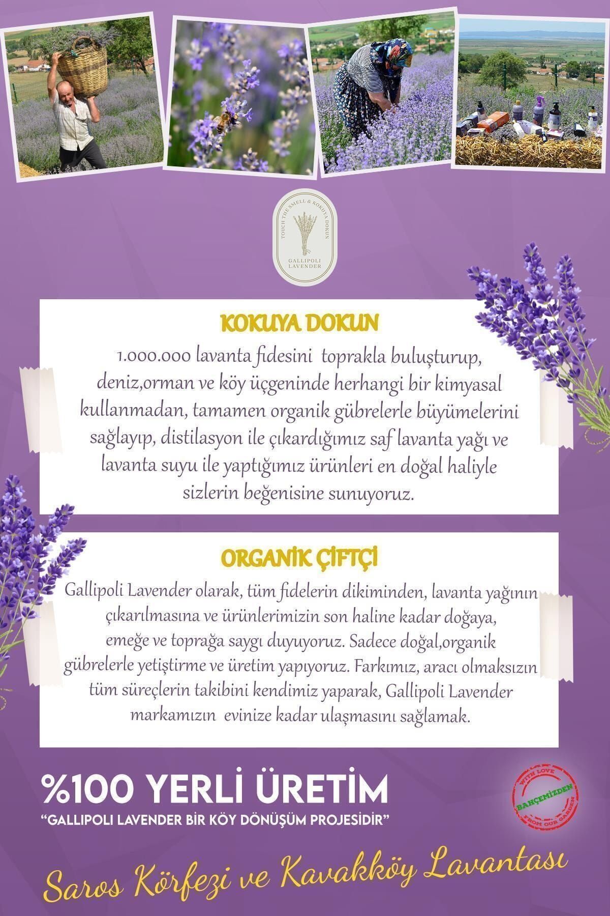 Dr. Lavender Lavanta Yağlı Kolonya 80 Derece Sprey Lavanta Kolonyası 100 ml