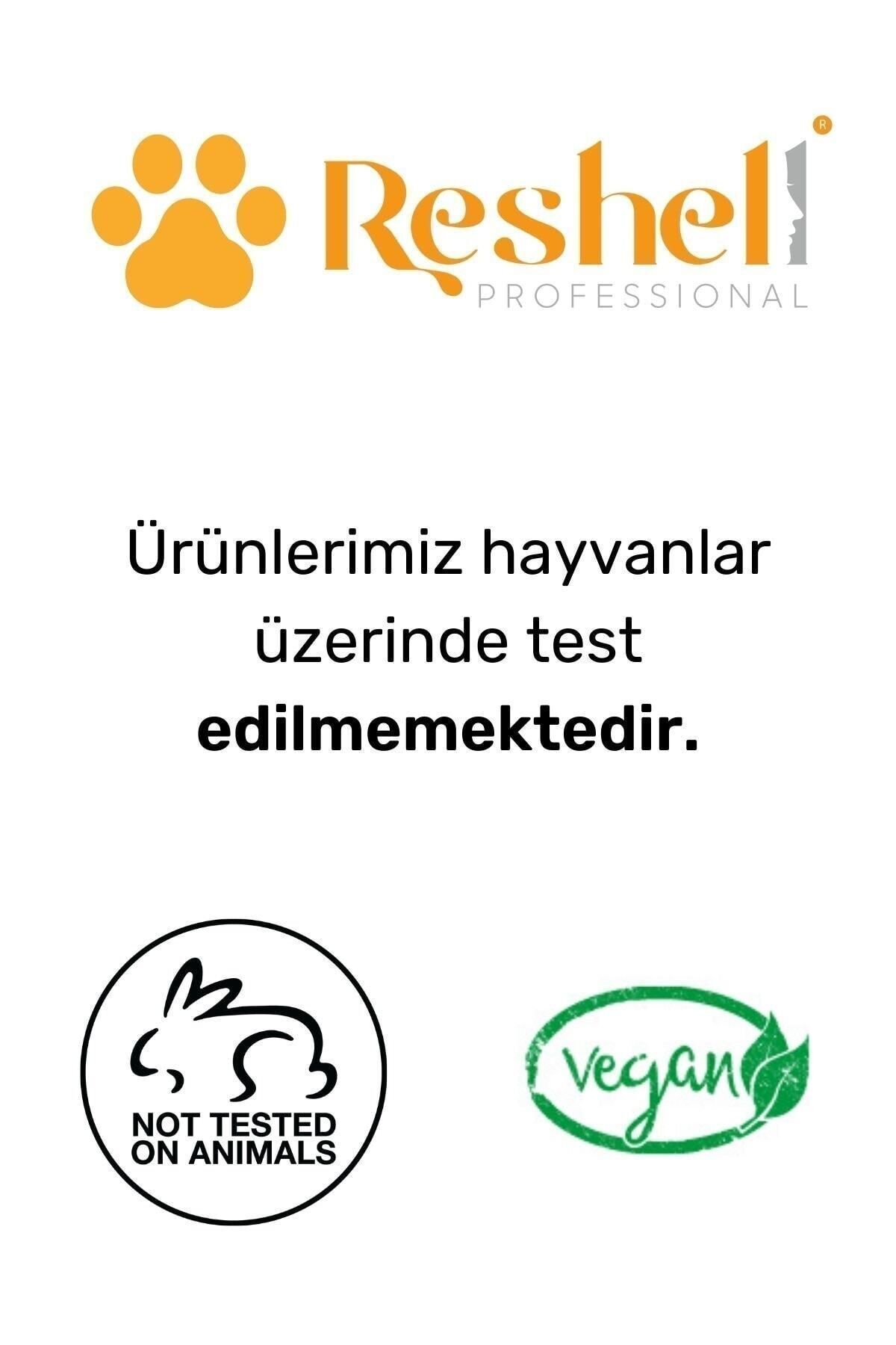 Kuru Yıpranmış Boyalı Saçlar Için Onarıcı Ve Besleyici Argan Yağlı Kolajen Saç Bakım Maskesi