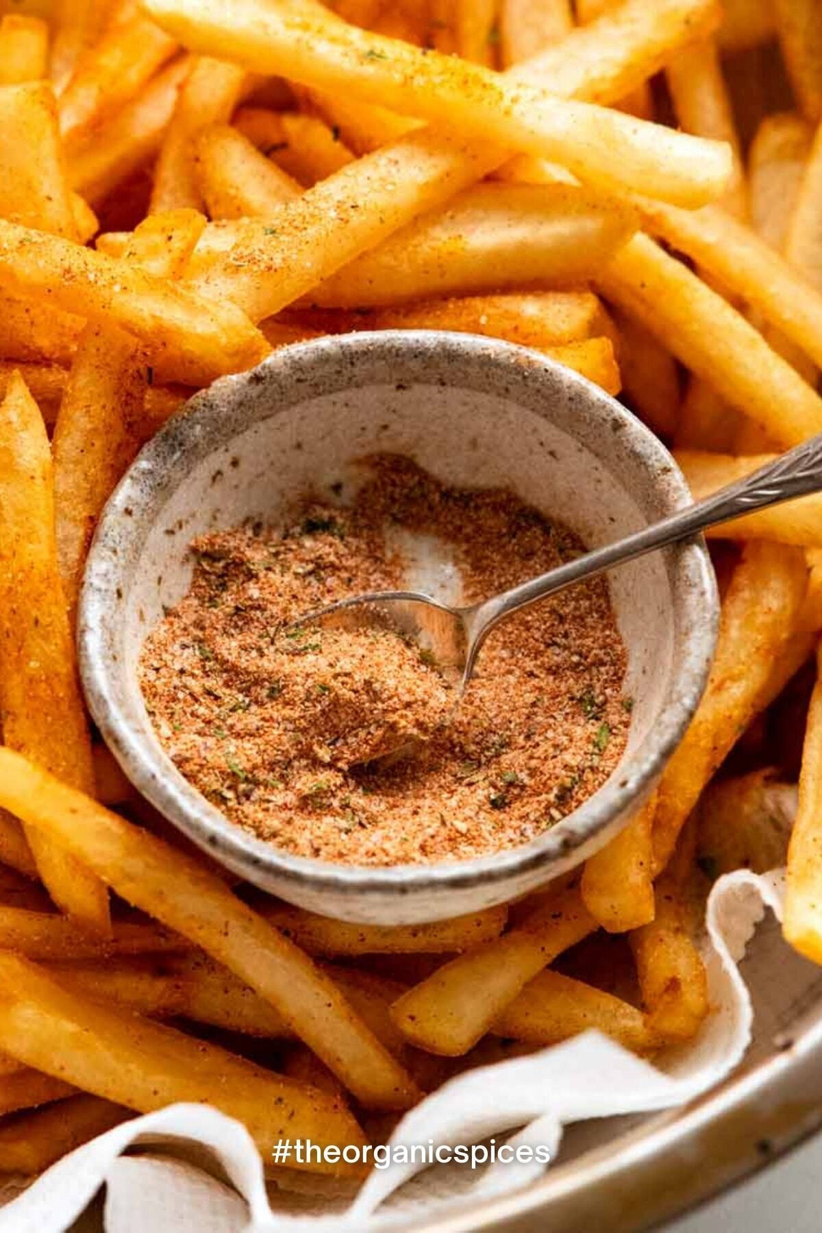 Patates Kızartması Baharat Karışımı 100 gr French Fries Spice Blend - Premium Quality