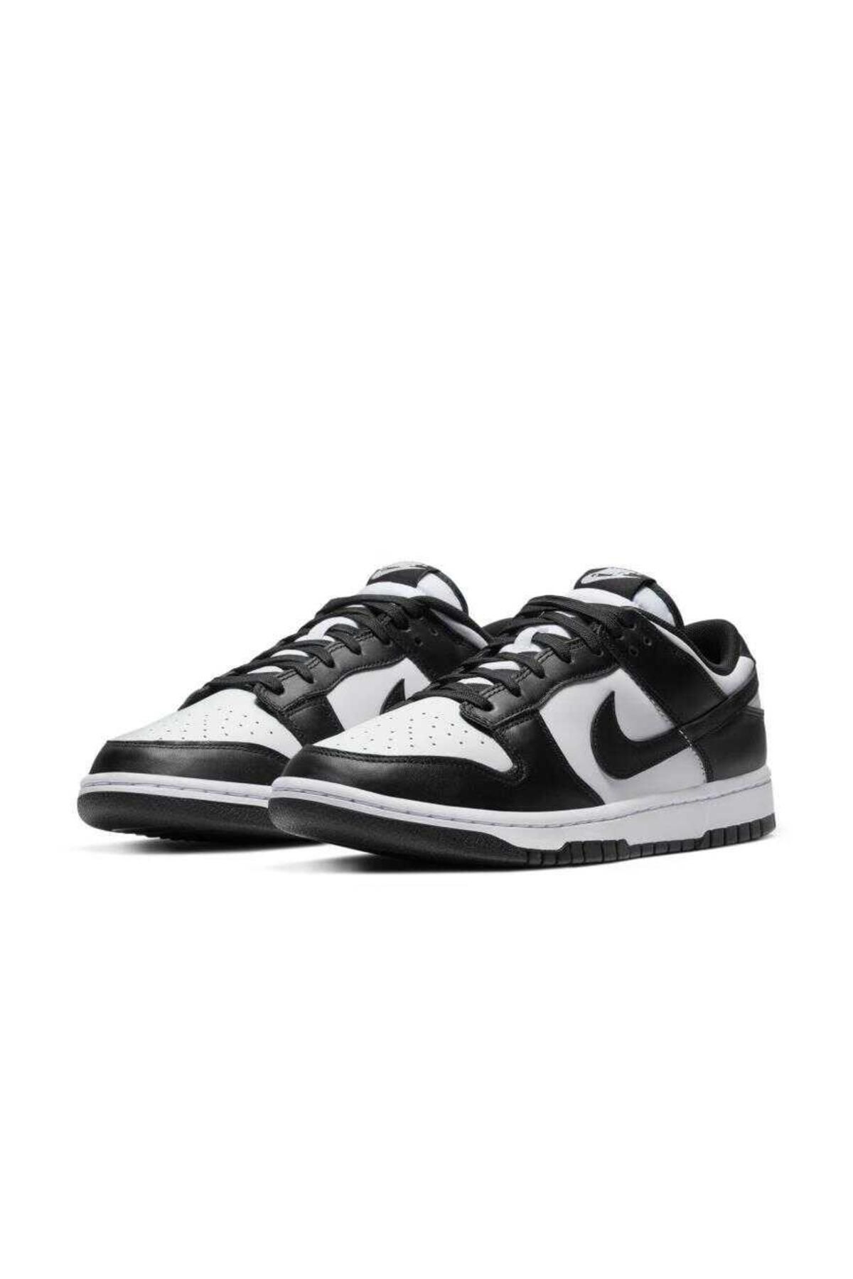 Dunk Low Retro Erkek Sneaker Ayakkabı Dd1391-100