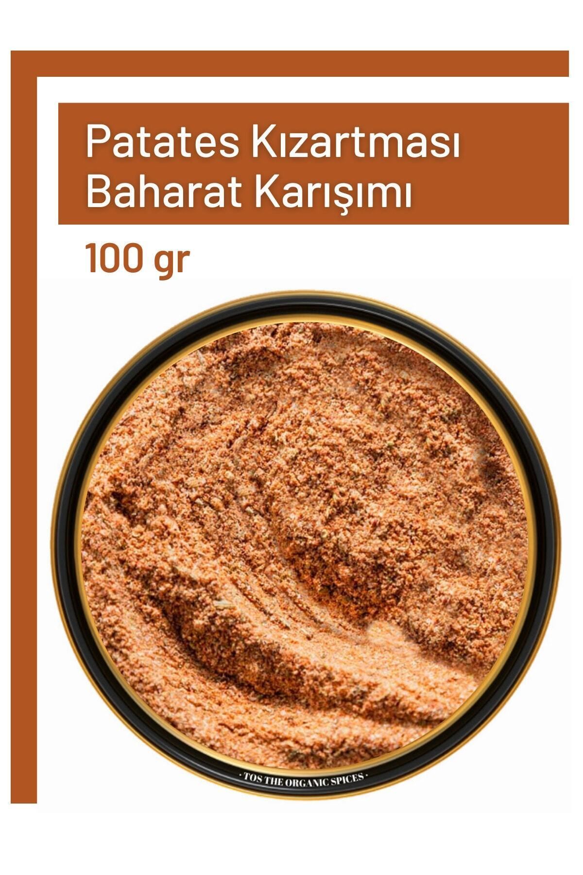 Patates Kızartması Baharat Karışımı 100 gr French Fries Spice Blend - Premium Quality