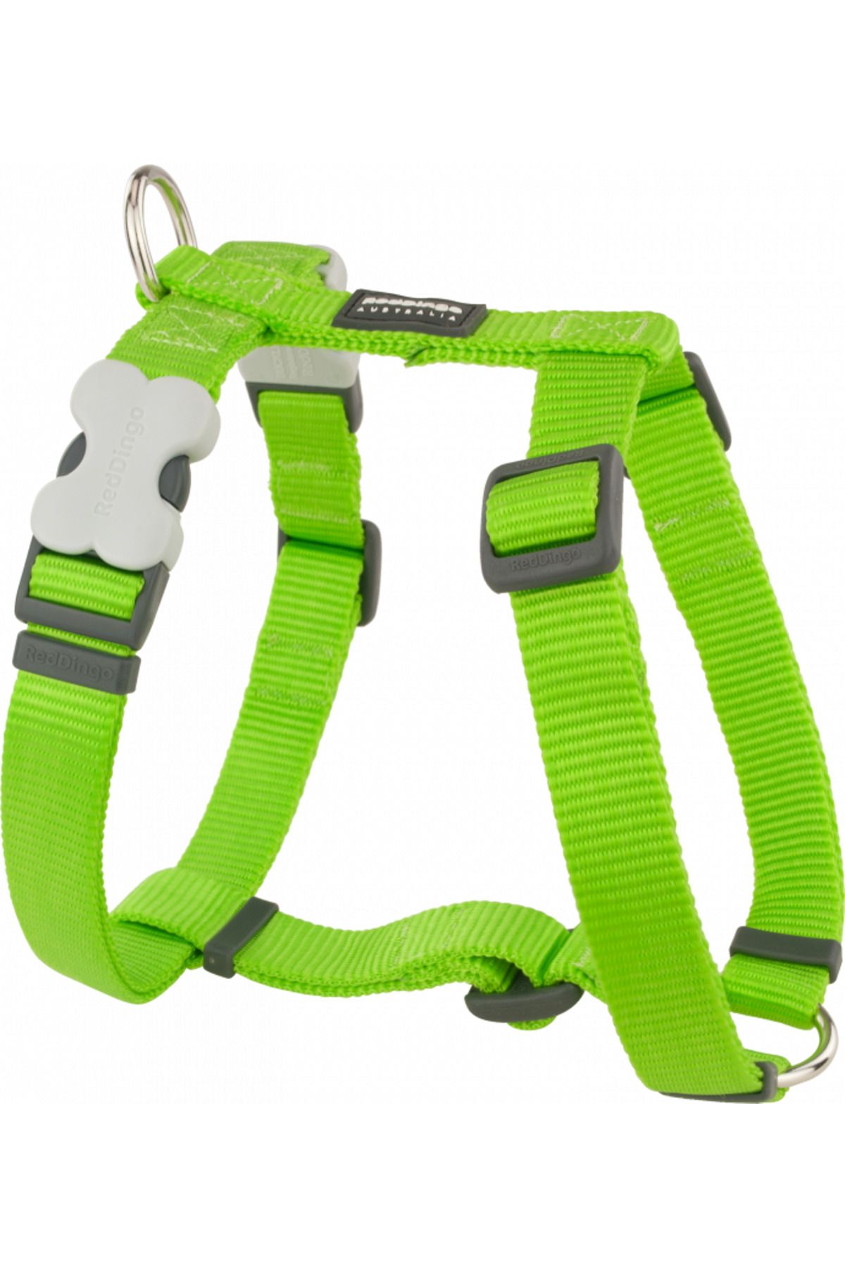 RedDingo 20 Mm (M) - Lime -Petshopundan