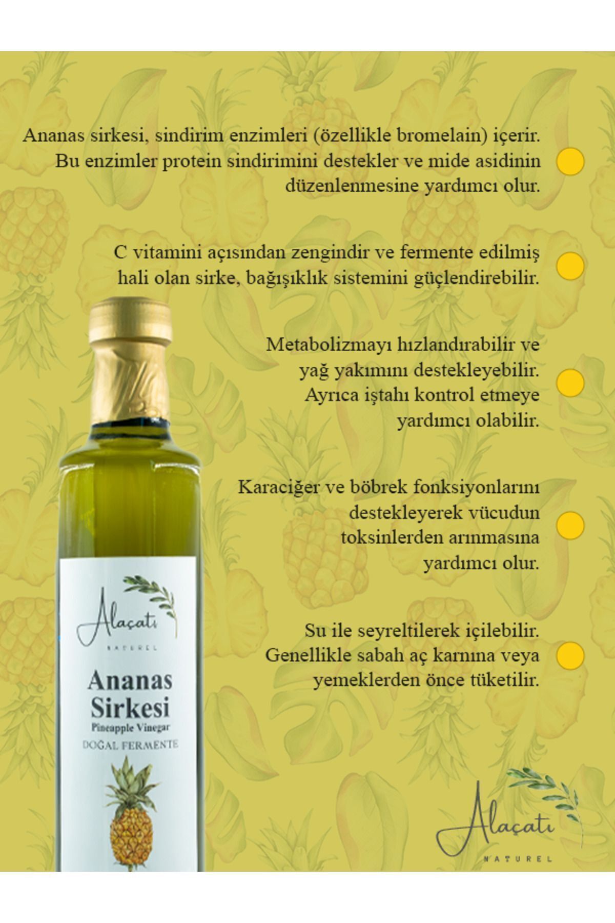 Ananas Sirkesi - 500ml