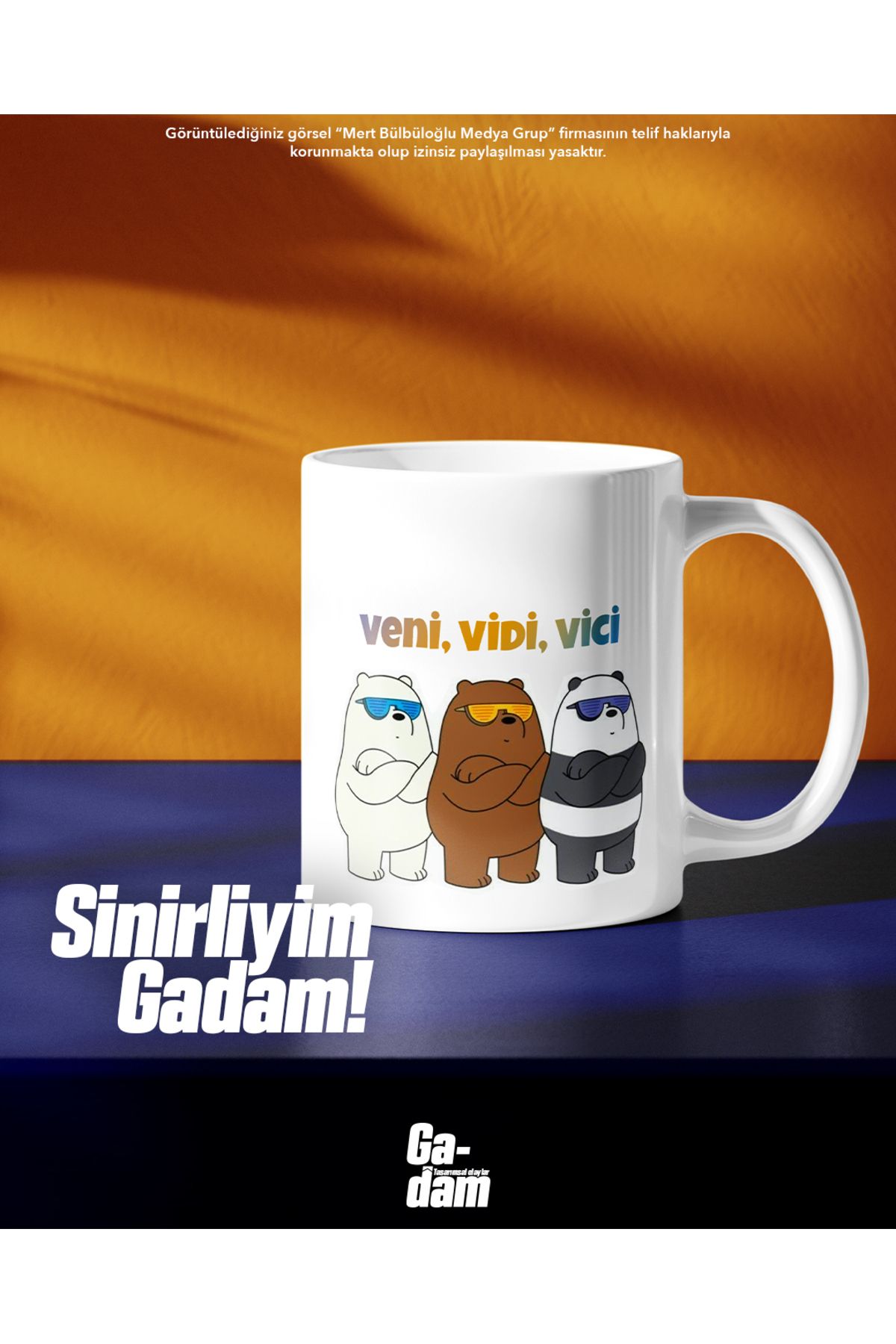 GadamVeni, Vidi, Vici - MoodKupa