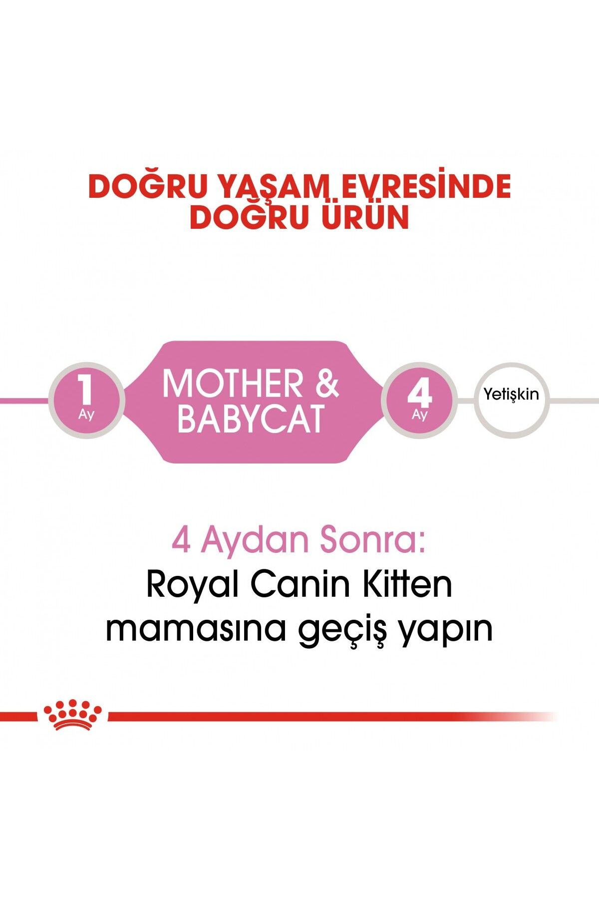 ® Mother & Babycat Yavru Kedi Maması 4 Kg