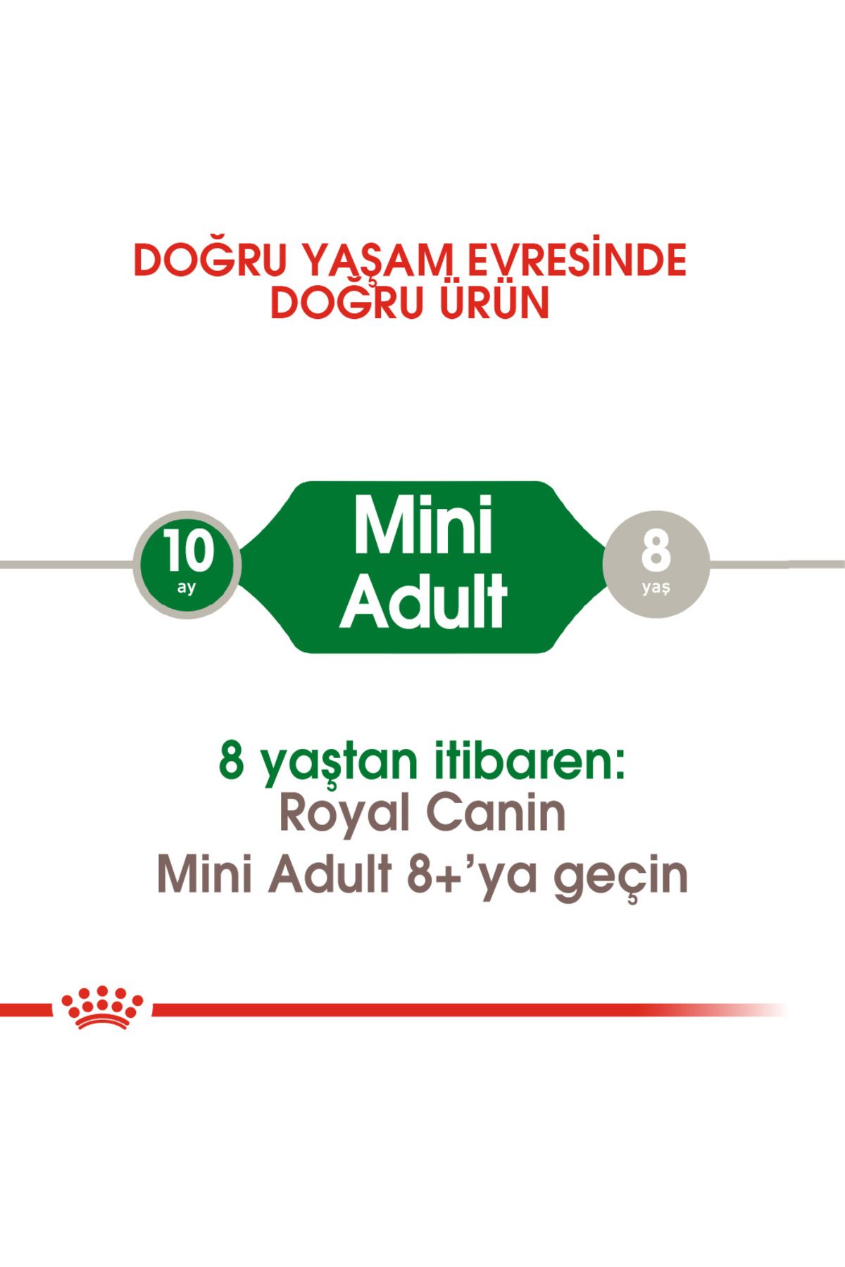 ® Mini Yetişkin Köpek Maması 2 Kg