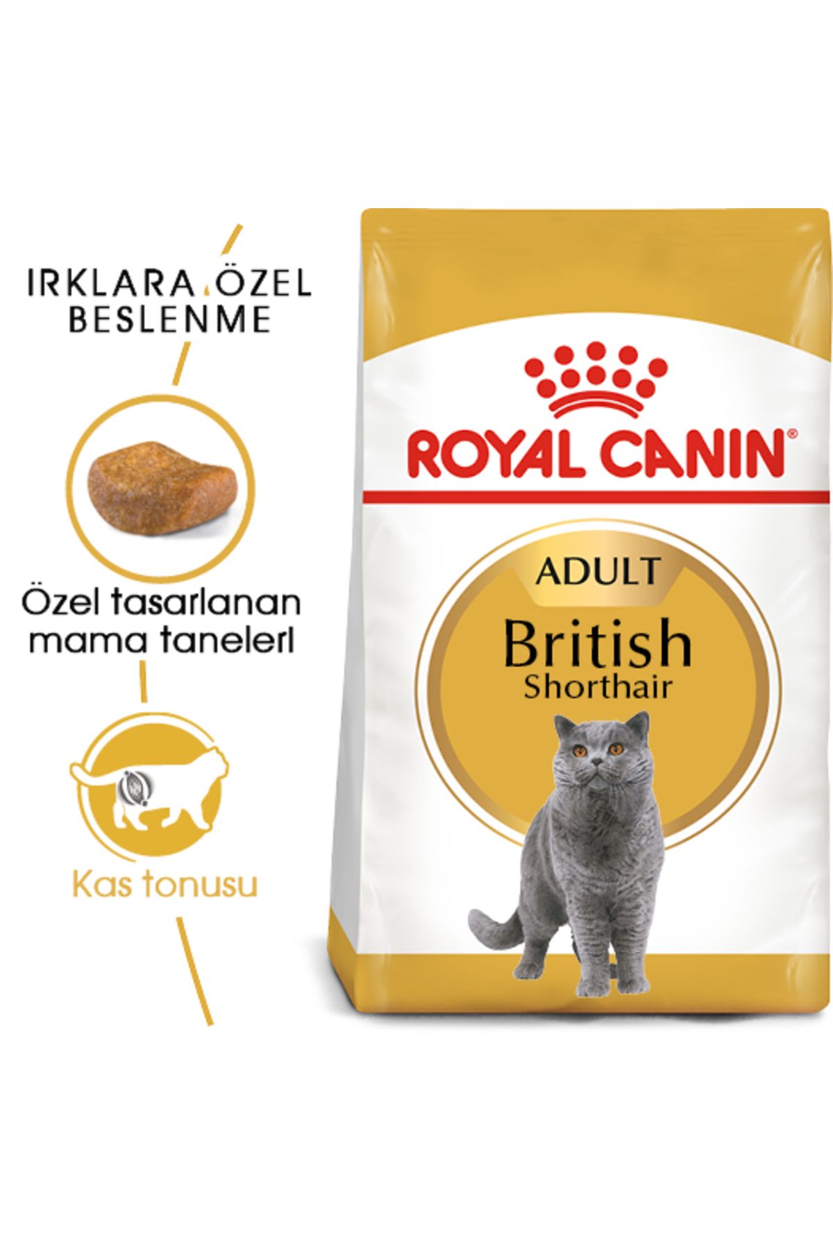 Royal CaninBritish ShorthairAdult Kedi Kuru M...