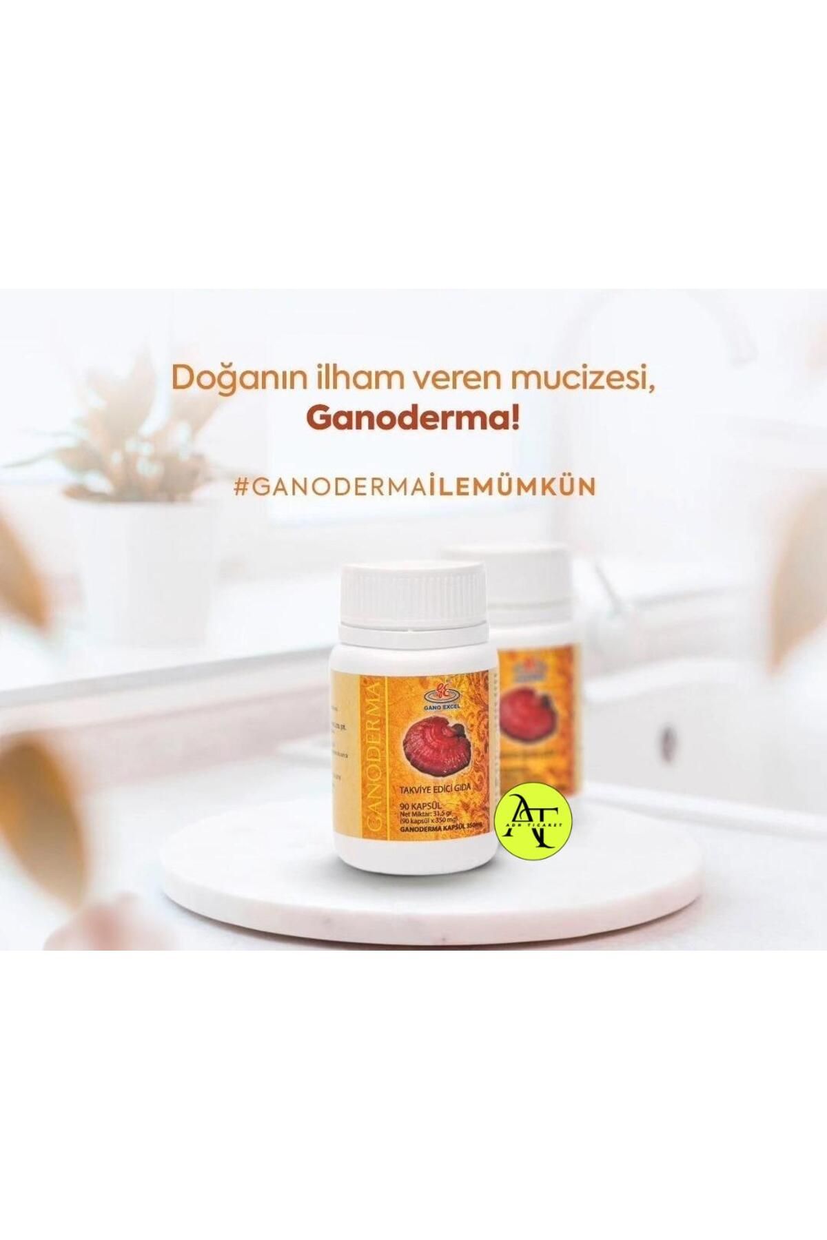 GanoExcel Ganoderma 90 Kapsül