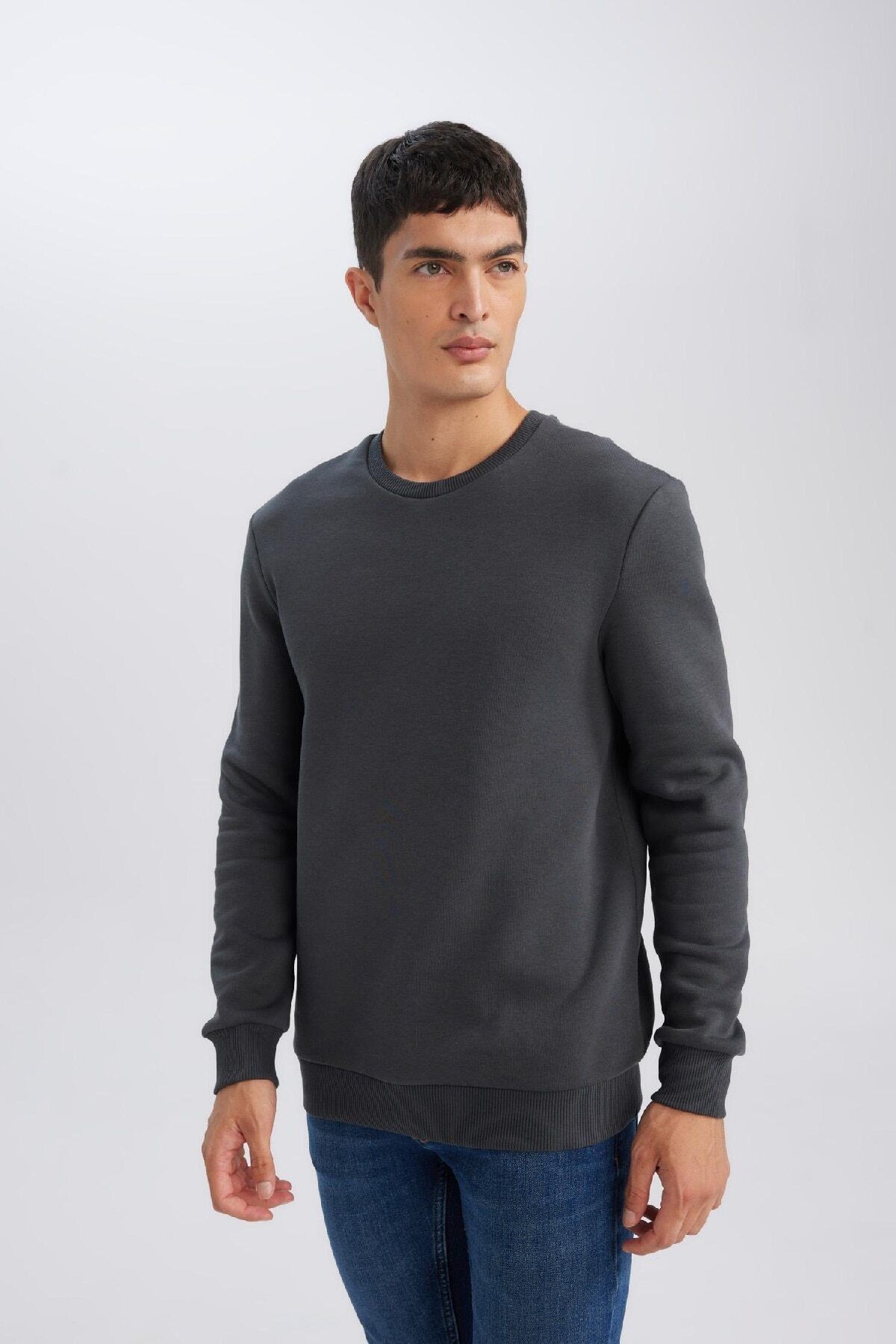 3 Iplik Pamuklu Şardonlu Içi Polarlı Regular Fit Bisiklet Yaka Kalın Sweatshirt D7876axns