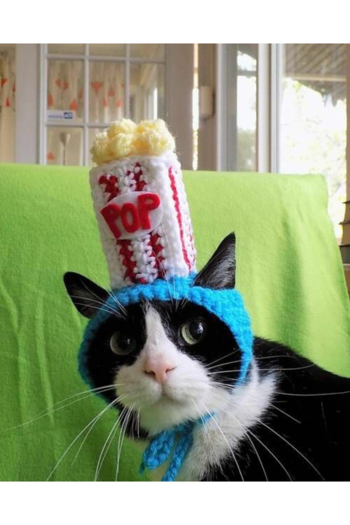 BurDen Dekoratif Ürünler & Tasarım Popcorn Patlamış Mısır Kedi Şapkası & Aksesuar