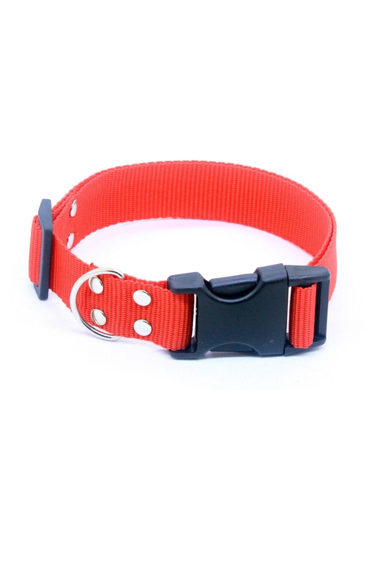 petviya Ayarlanabilir Köpek Boyun Tasması 33-54 Cm Kırmızı