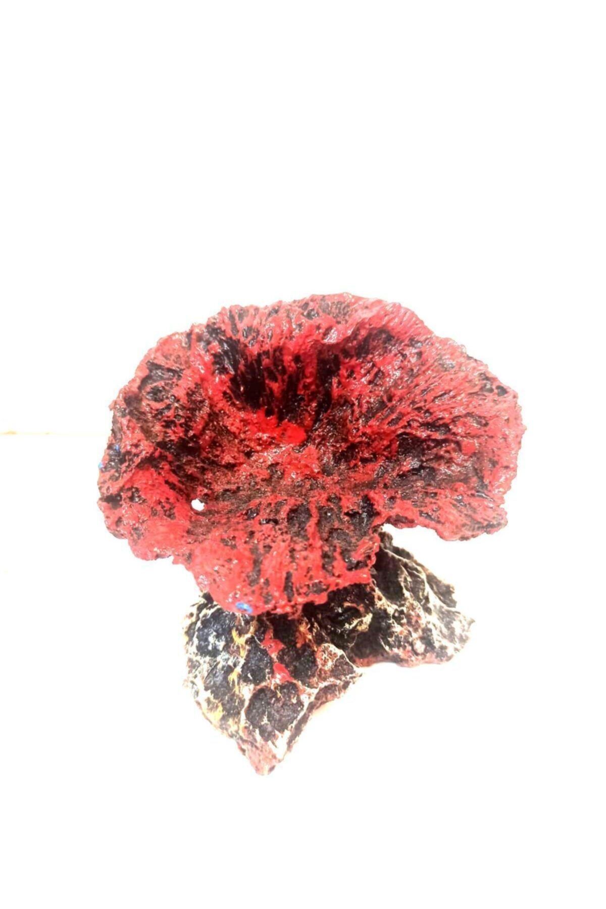 TROPİKAL Yapay Mercan Dekor Mushroom (kırmızı) 12 Cm X 13 Cm