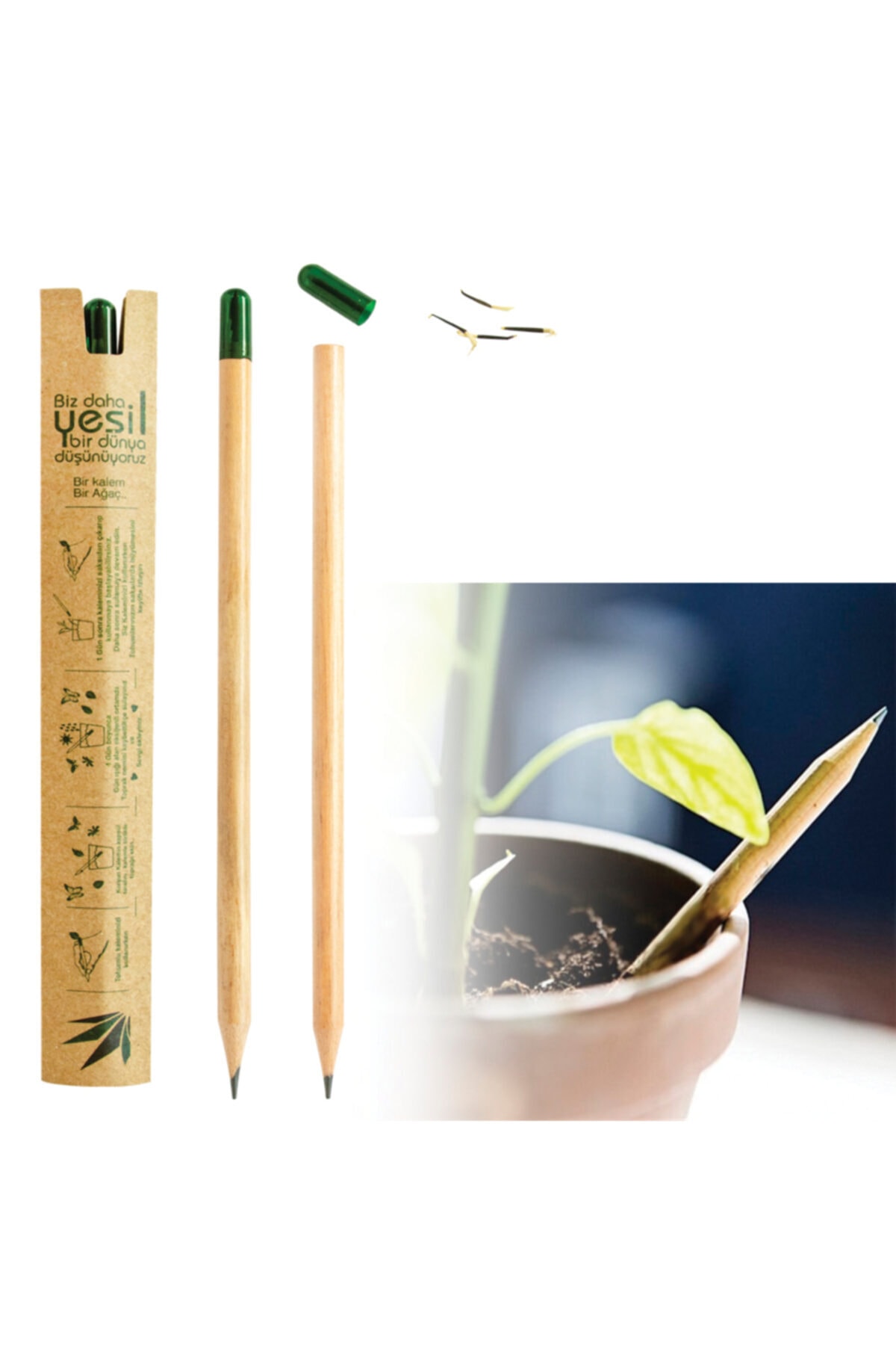 TOYGAR Yasayan Tohumlu Kursun Kalem 10lu