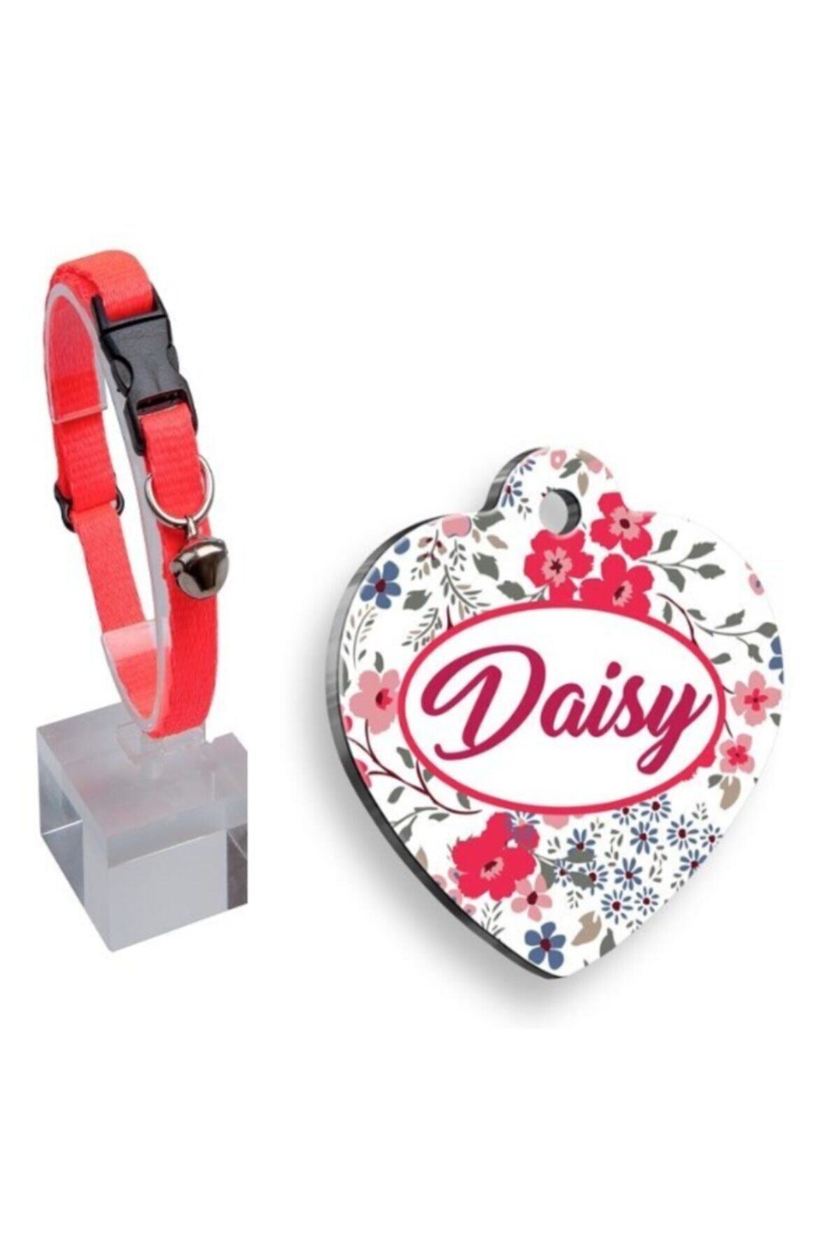 Thepassage Neon Pembe Zilli Ayarlanabilir Kedi Boyun Tasması 22-30 Cm+çiçek Desenli Çelik Kaplama Künye 3.2 Cm