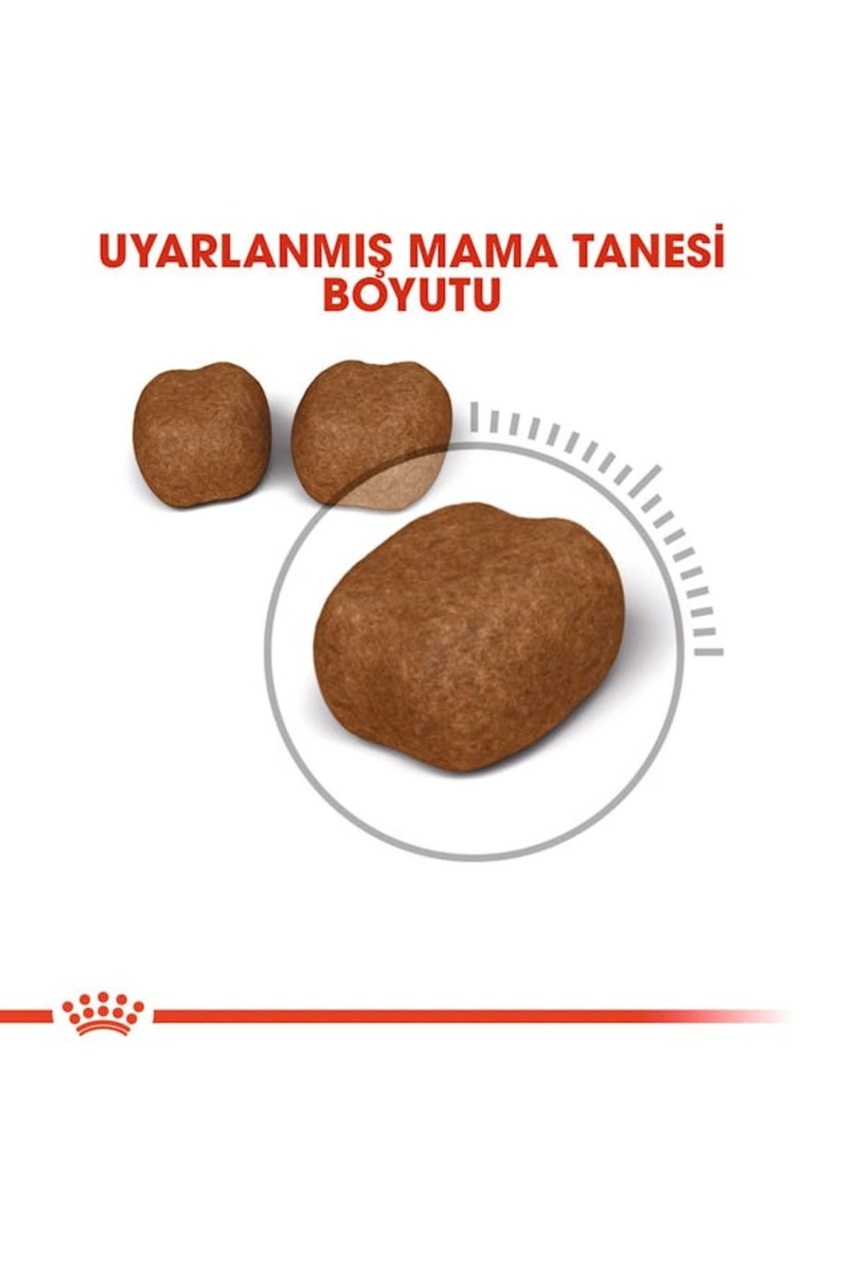 Oral Care Kedi Maması 1,5 Kg