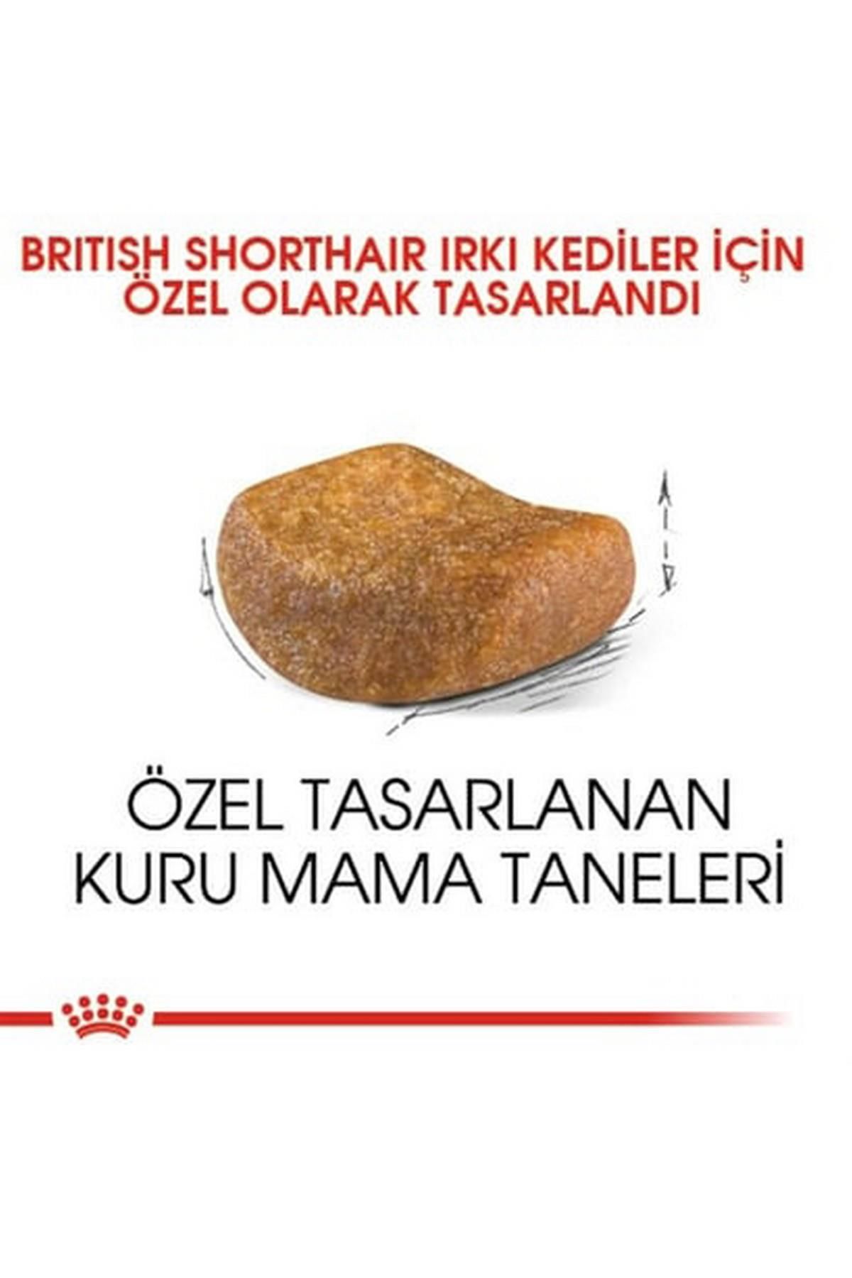 British Shorthair Yetişkin Kedi Maması 2kg