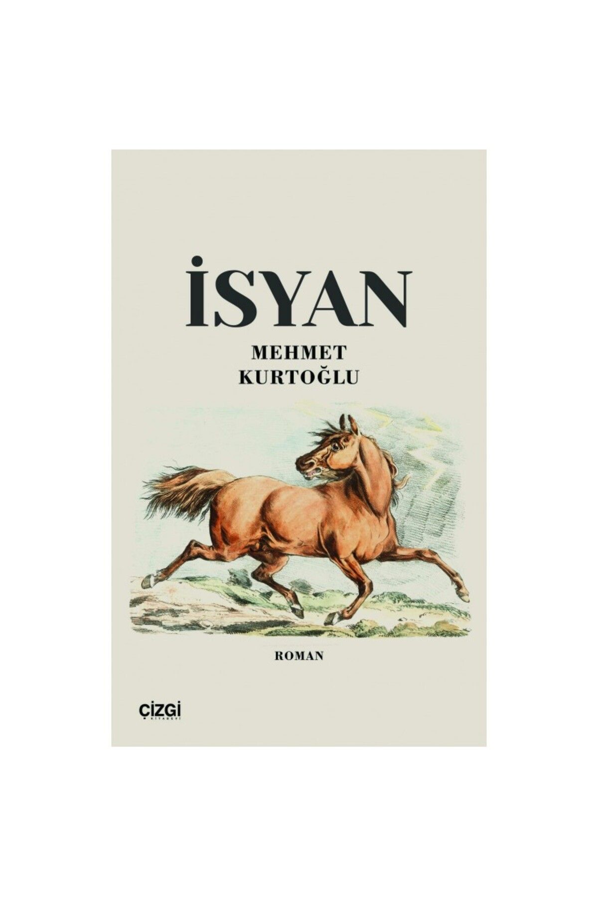 Çizgi Kitabevi İsyan (Roman)