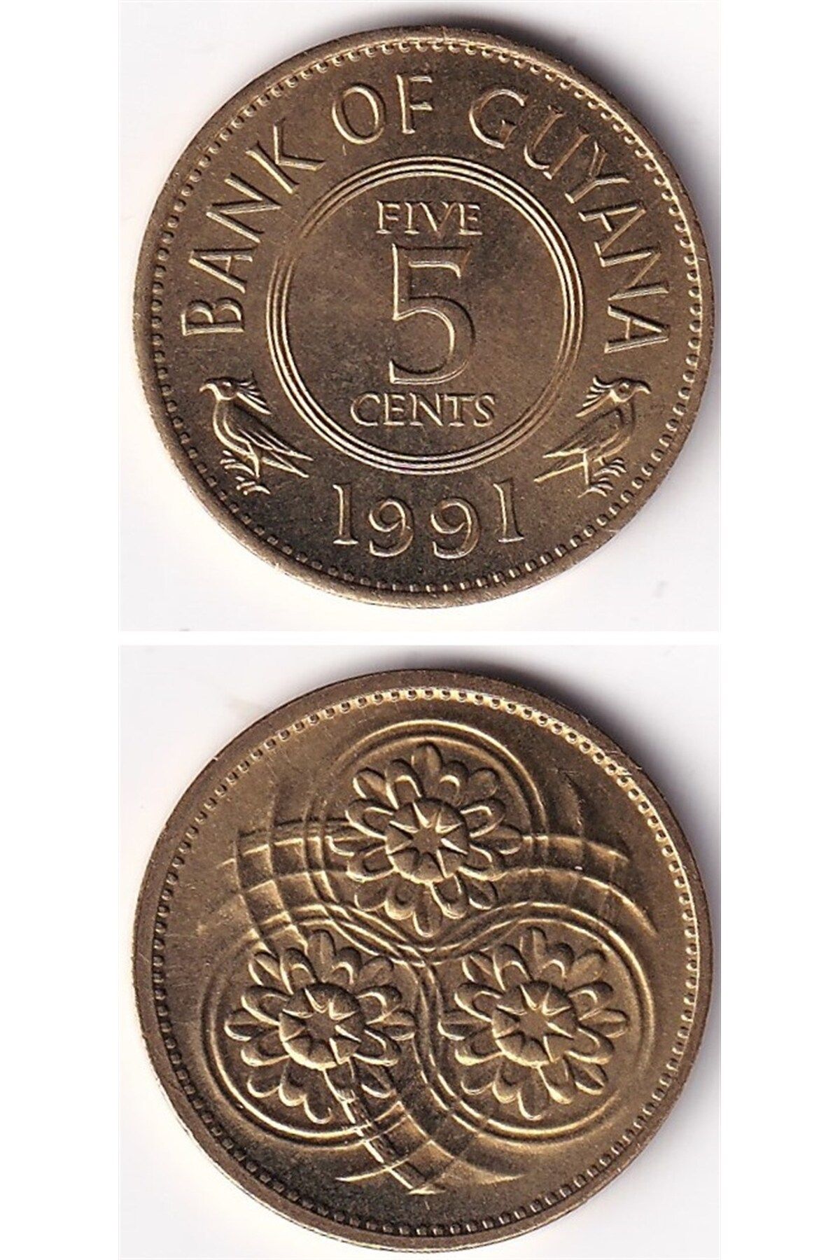 Benim KoleksiyonumGuyana, 5Cent 1991 Çil Yaba...