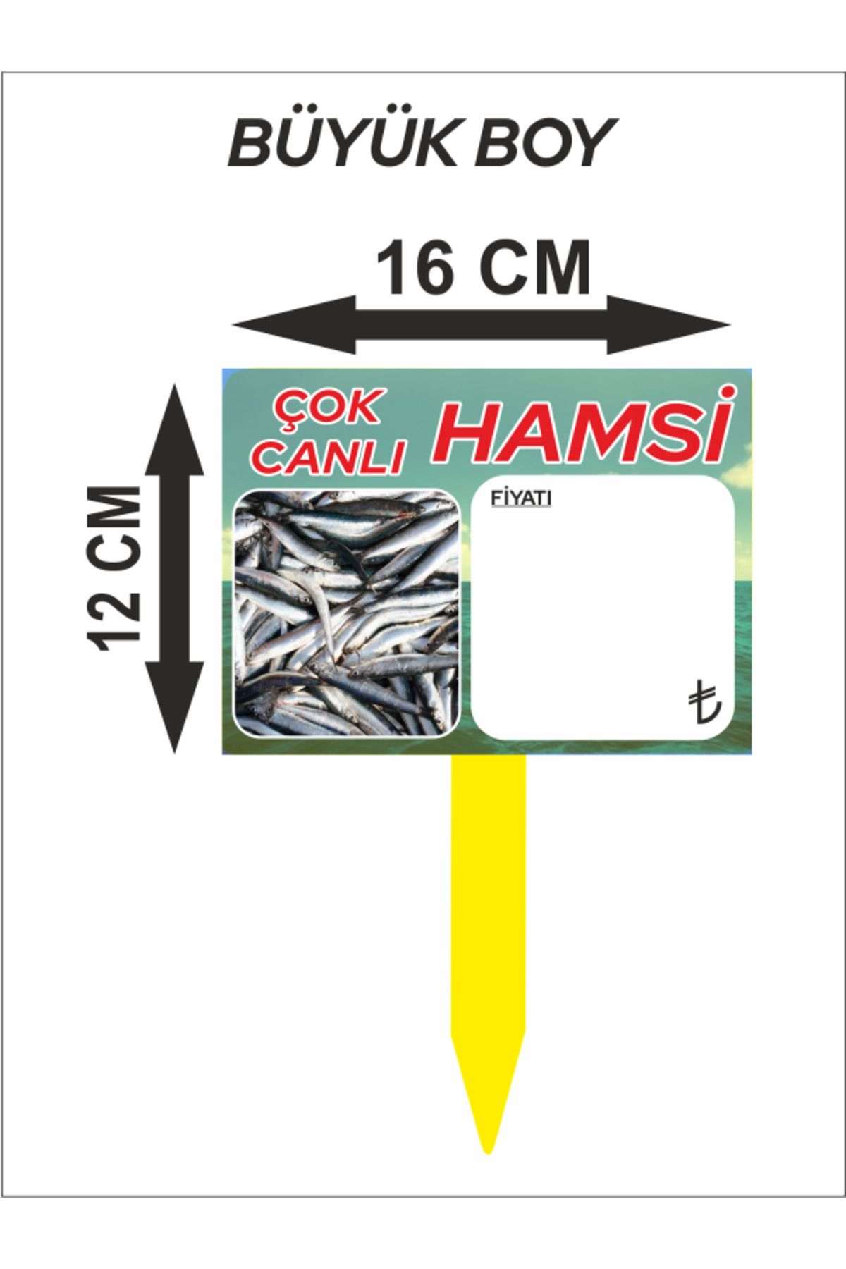 çavuşoğlu etiket 16x12 EbatÇok Canlı Hamsi Ba...