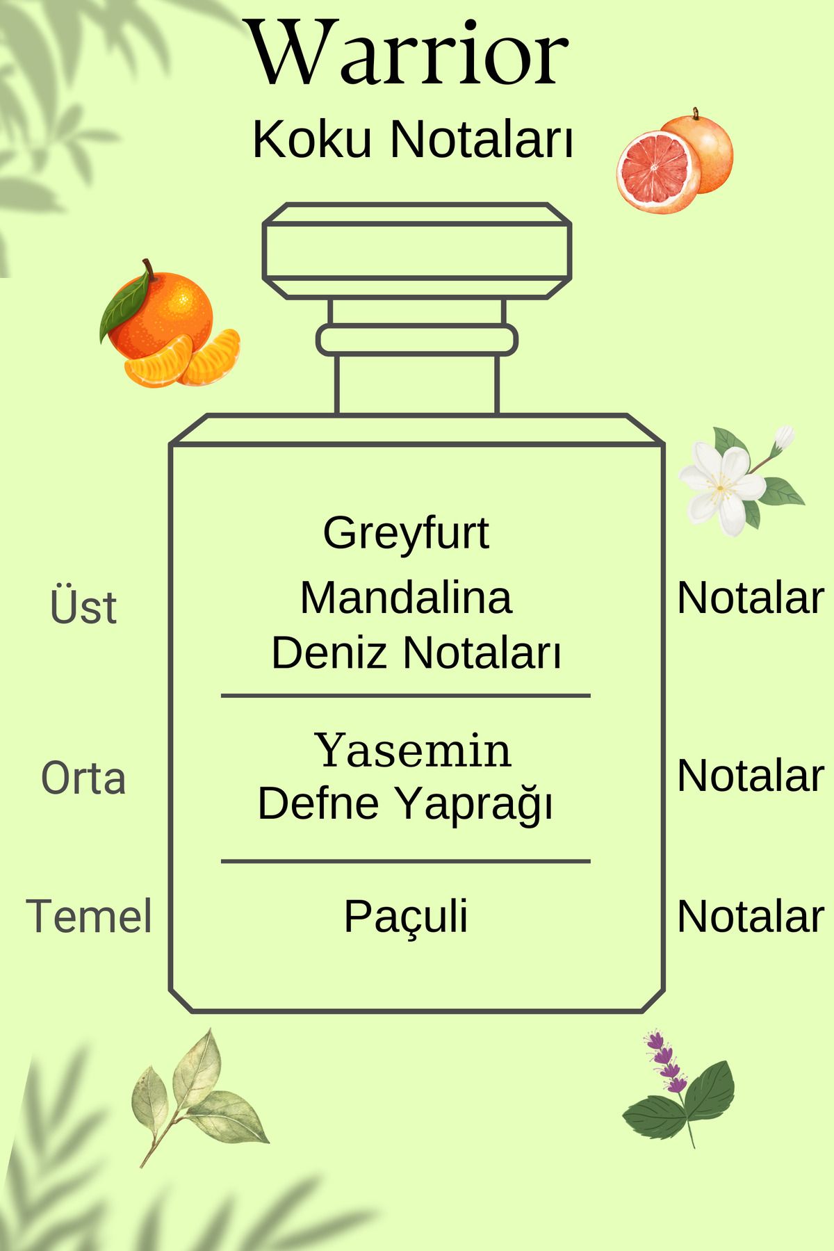 İnvictus - Warrior Yüksek Esanslı Afrodizyak Etkili Kalıcı Erkek Parfüm Edp