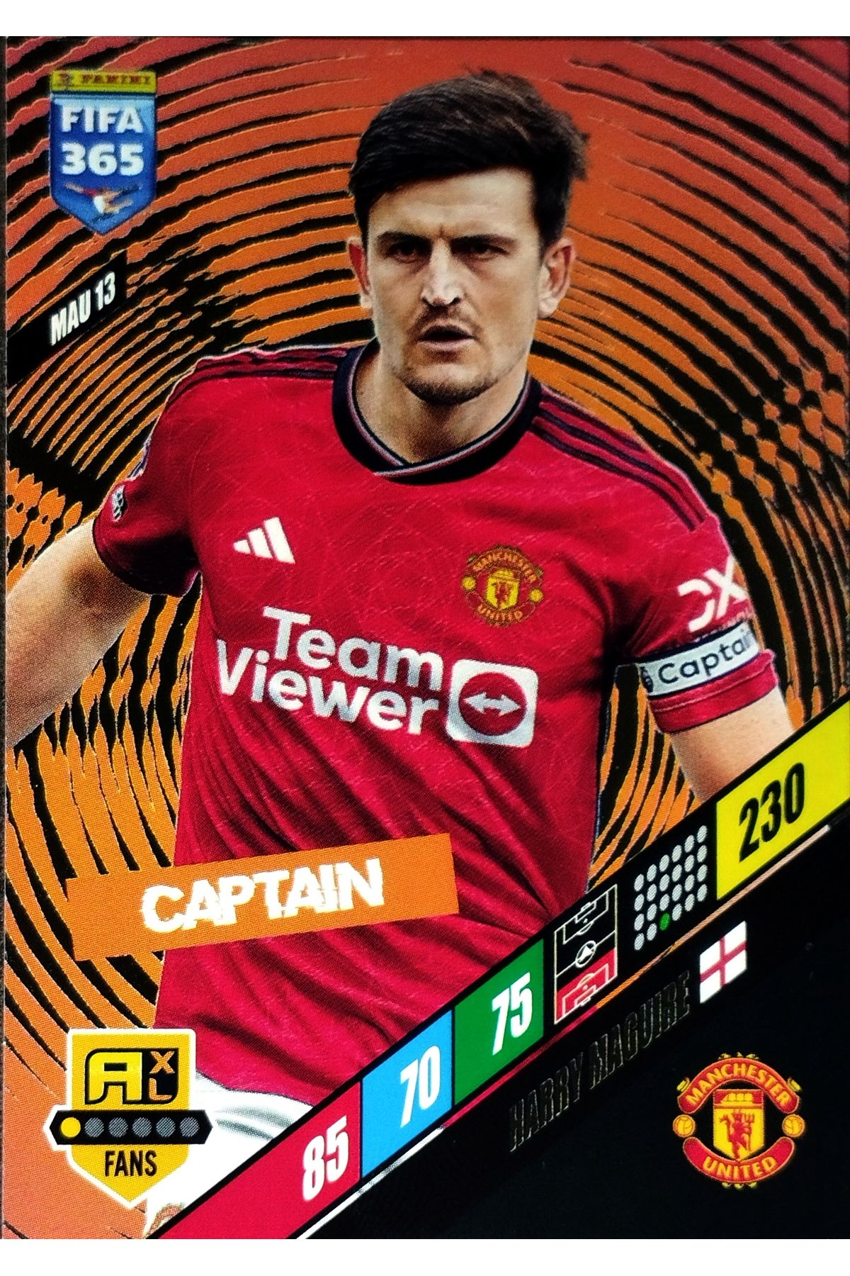 PaniniHarry Maguire PANİNİCARD