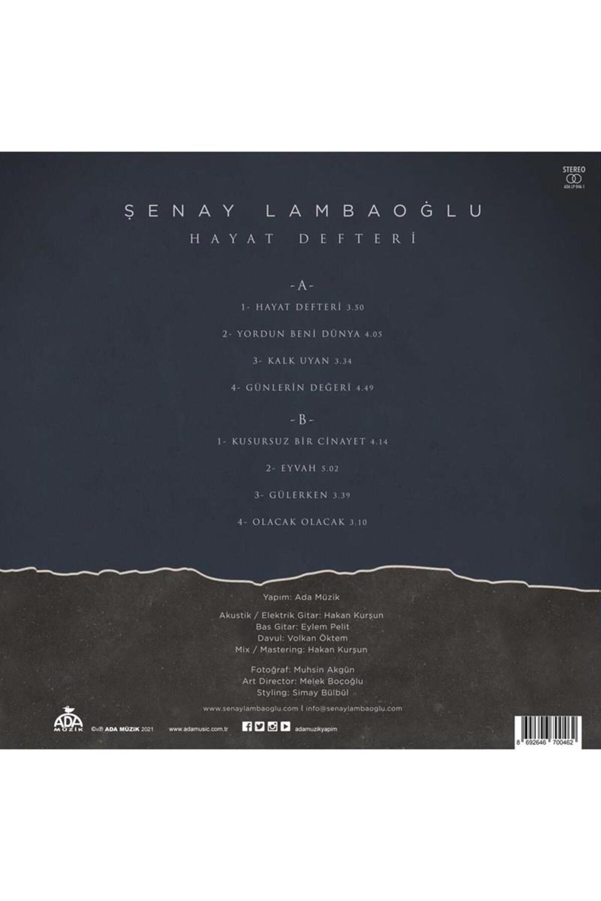 Şenay Lambaoğlu - Hayat Defteri - Pop Vinly Plak Alithestereo