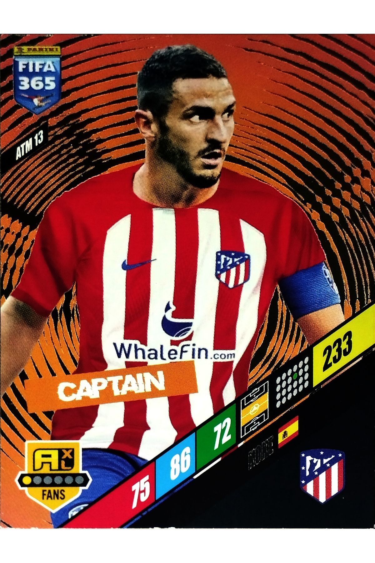 PaniniKOKE CAPTAİN CARD