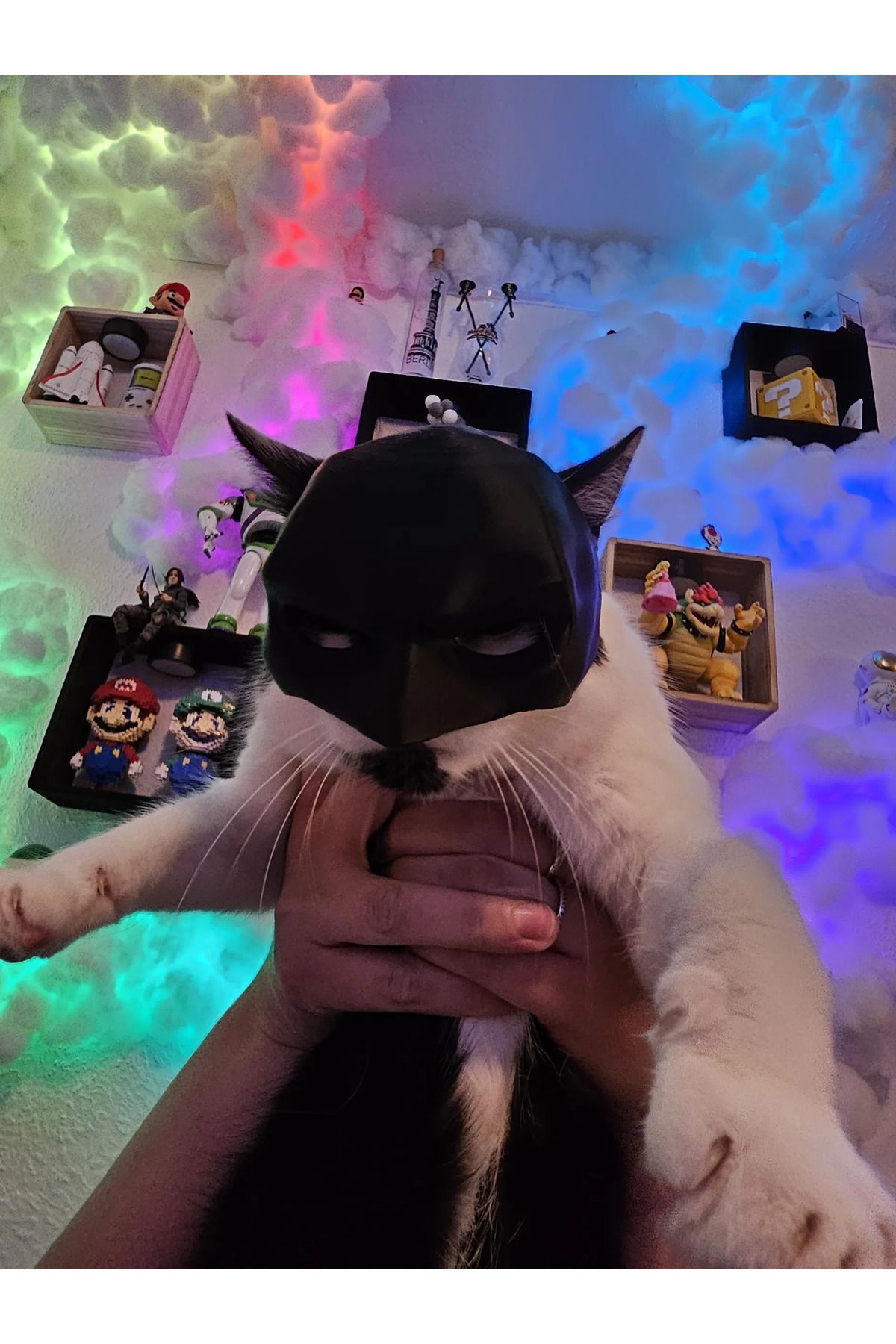 FigürDizayn Batman KediMaskesi- Kedi Batman M...