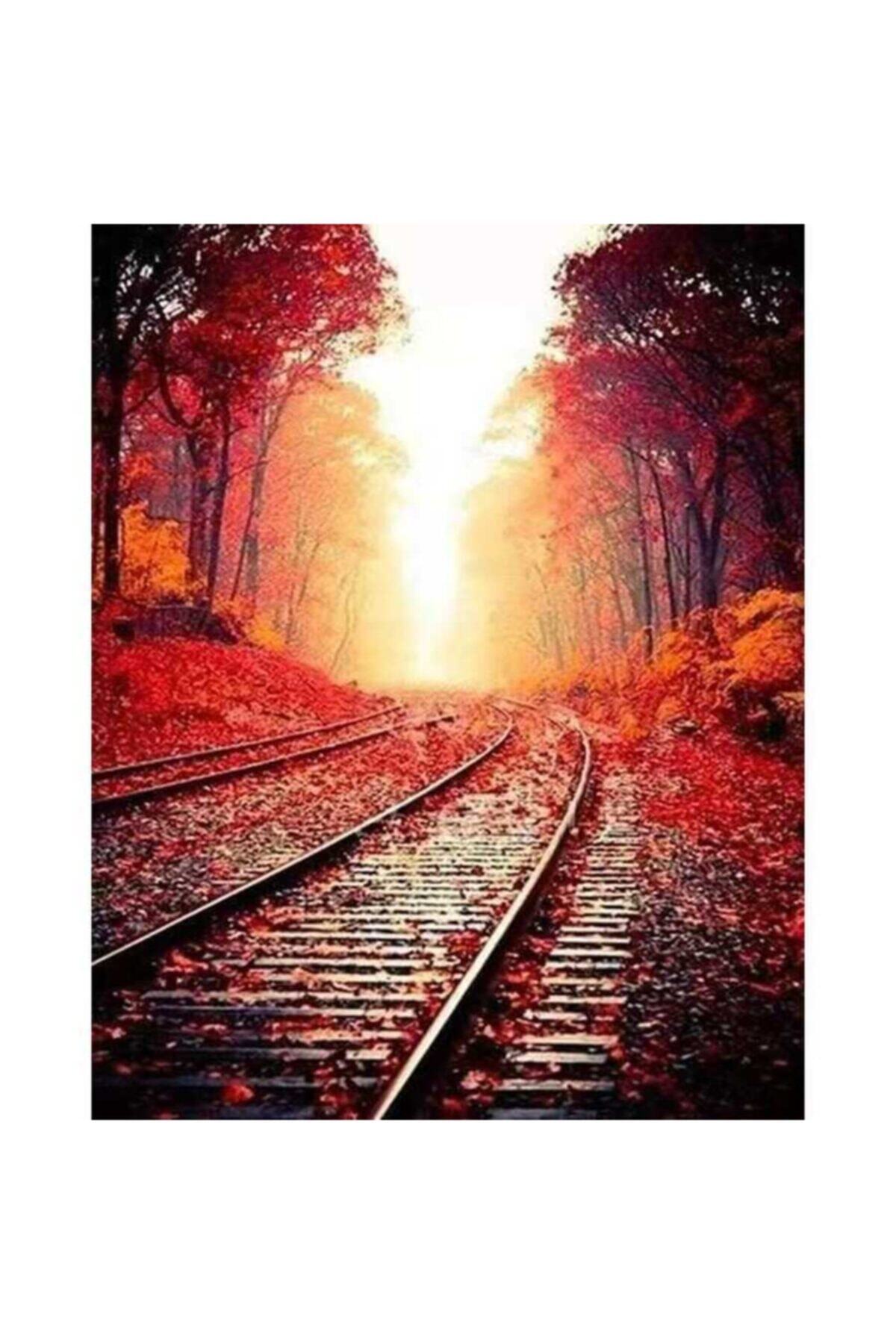 LİLYHOBBYLAND Sayılarla Boyama 60*75 Cm Çerçeveli  Tuval Tren Rayları