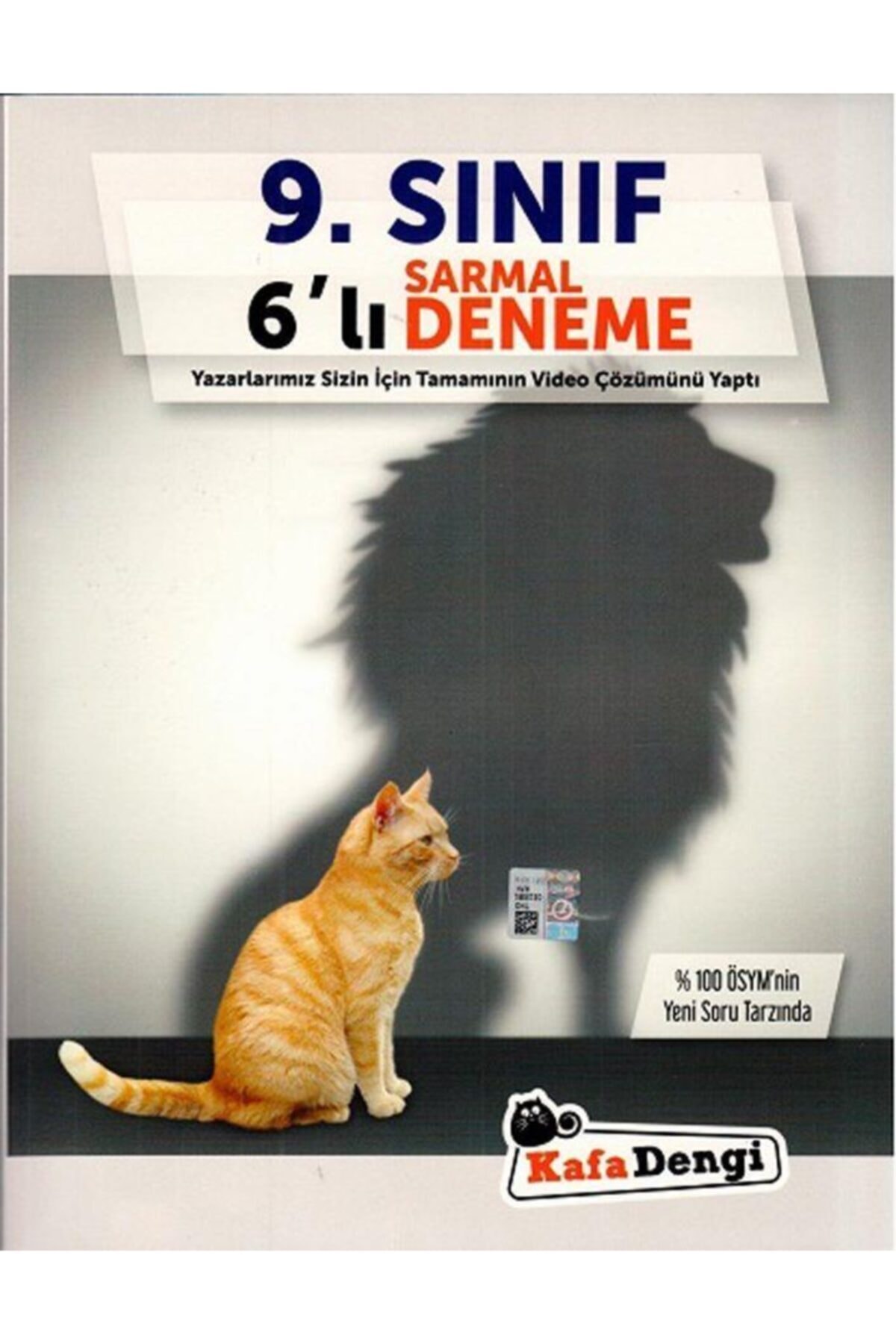 Kafa Dengi Yayınları 9. Sınıf Sarmal 6'lı Deneme