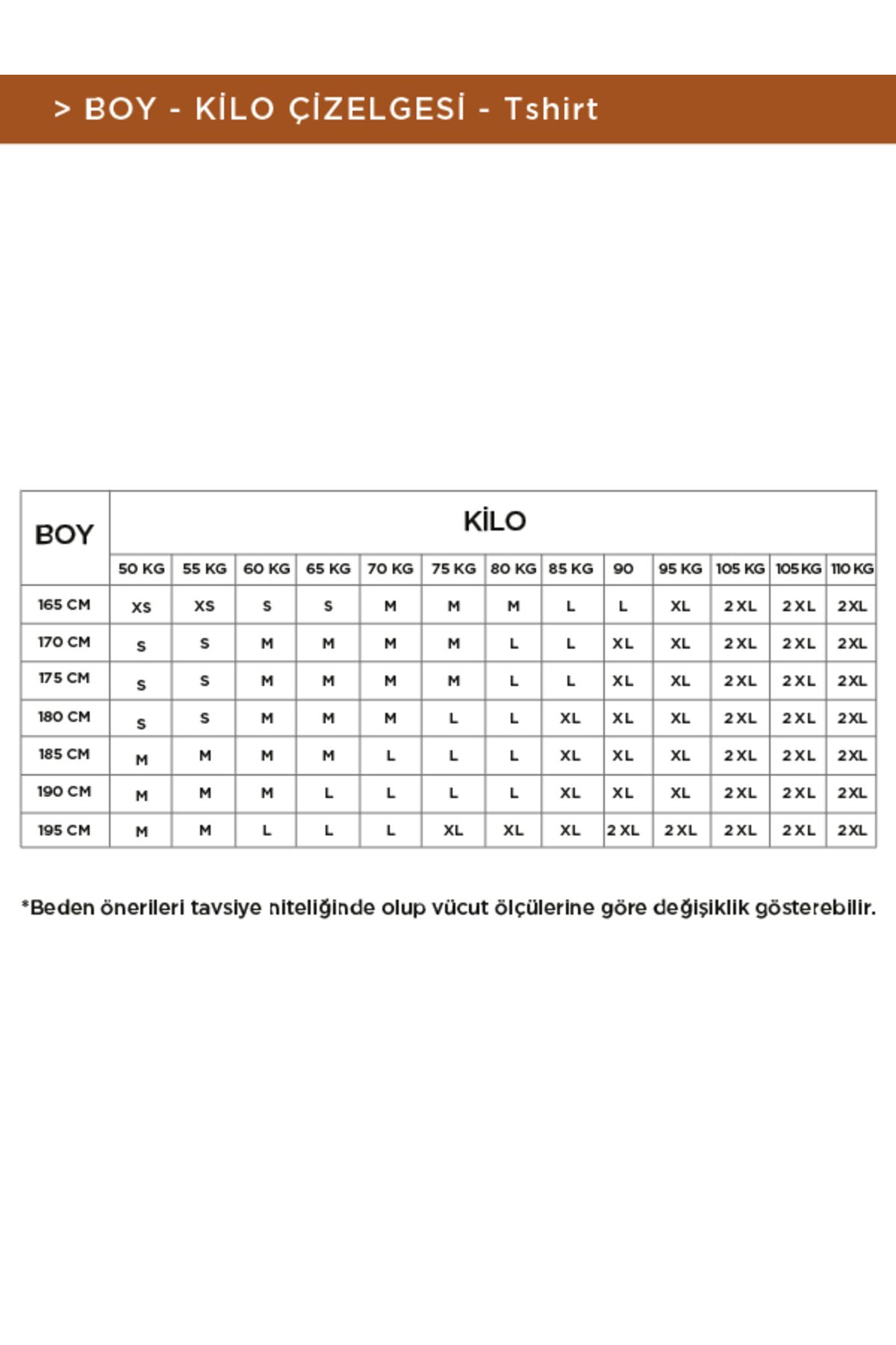 Erkek Gri Bisiklet Yaka Baskılı %100 Pamuk T-shirt E001037