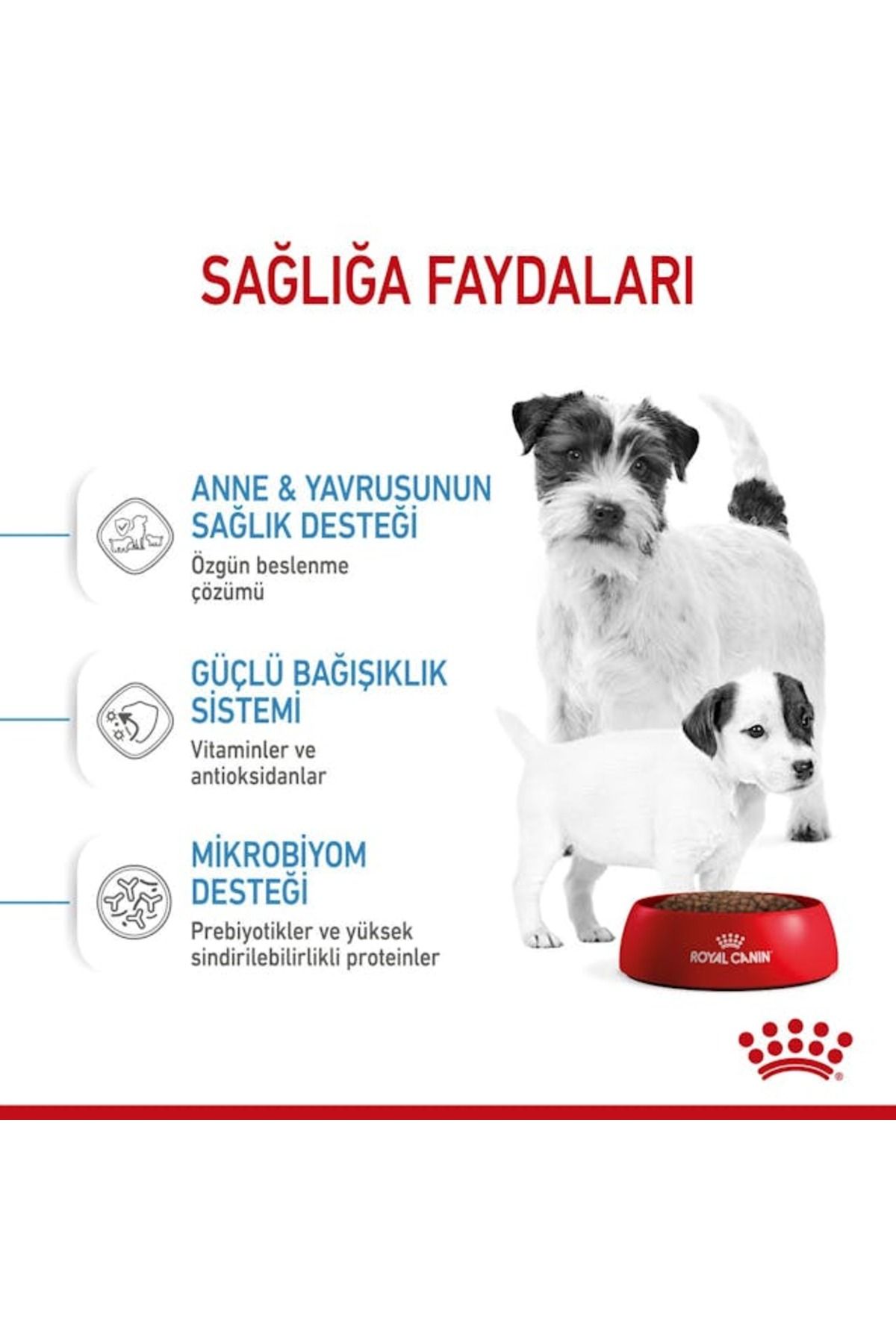 Dog Shn Mini Starter Mother/babydog Köpek Maması 4 Kg