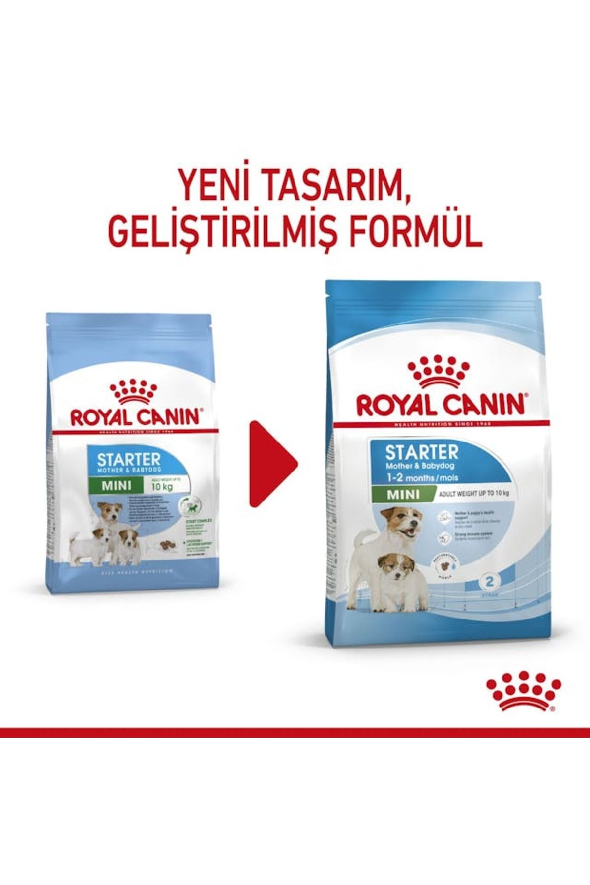 Dog Shn Mini Starter Mother/babydog Köpek Maması 4 Kg