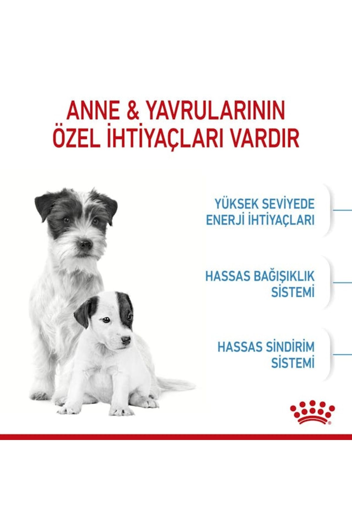 Dog Shn Mini Starter Mother/babydog Köpek Maması 4 Kg