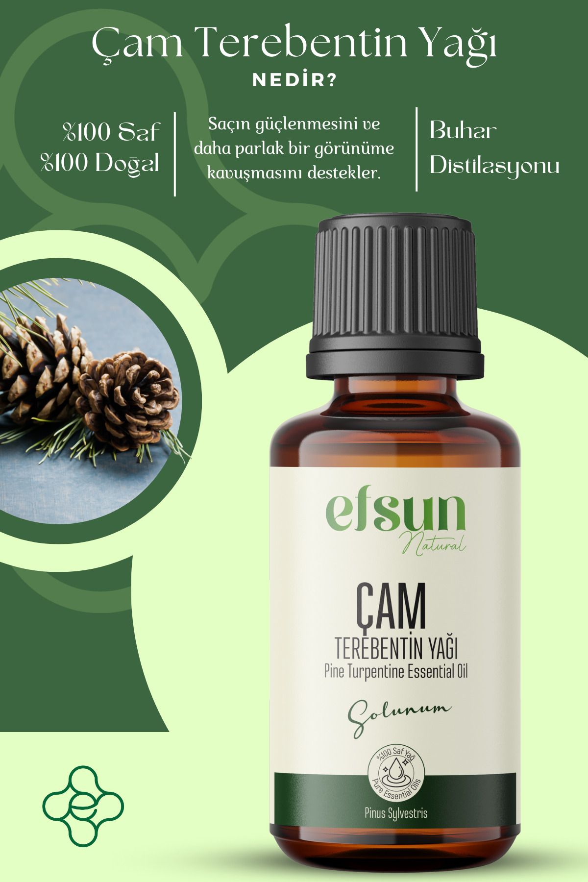 Çam Terebentin Uçucu Yağı %100 Doğal Saf 10 ml