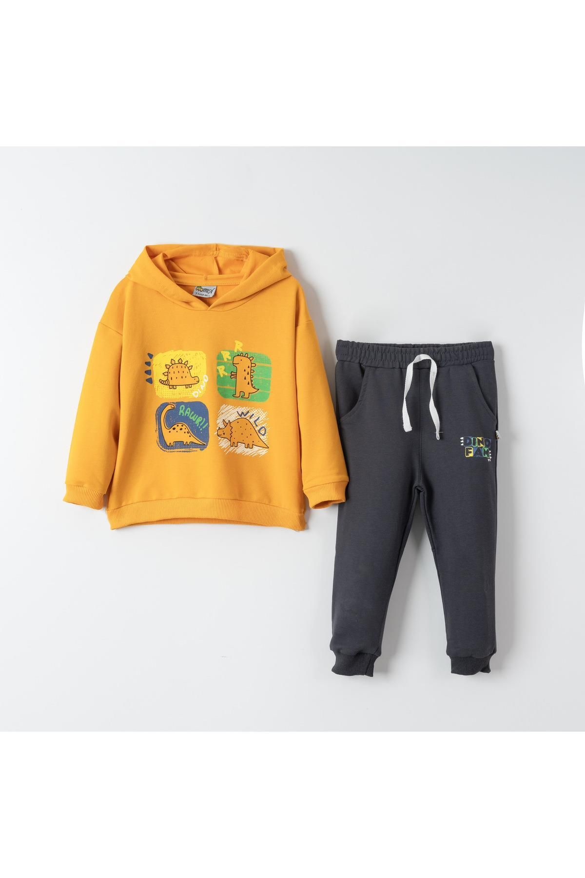 Dino Fam Baskılı Erkek Çocuk Sweatshirt Eşofman Takımı