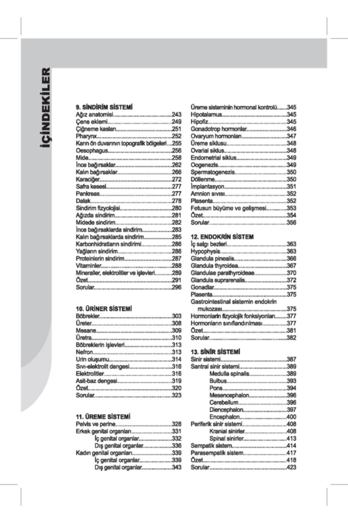 İnsan Anatomisi ve Fizyolojisine Giriş