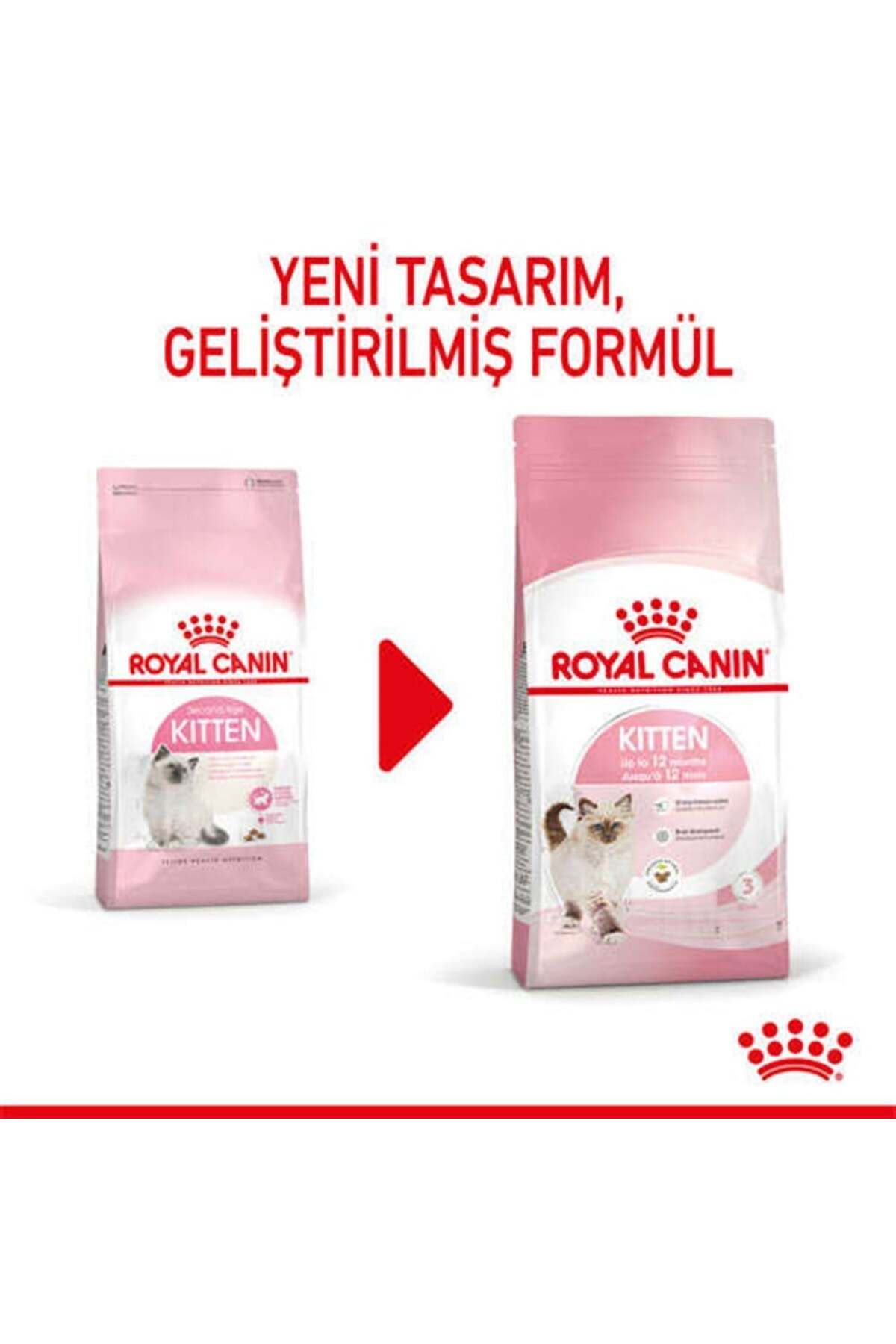 Cat Fhn Kitten Kedi Maması 4kg