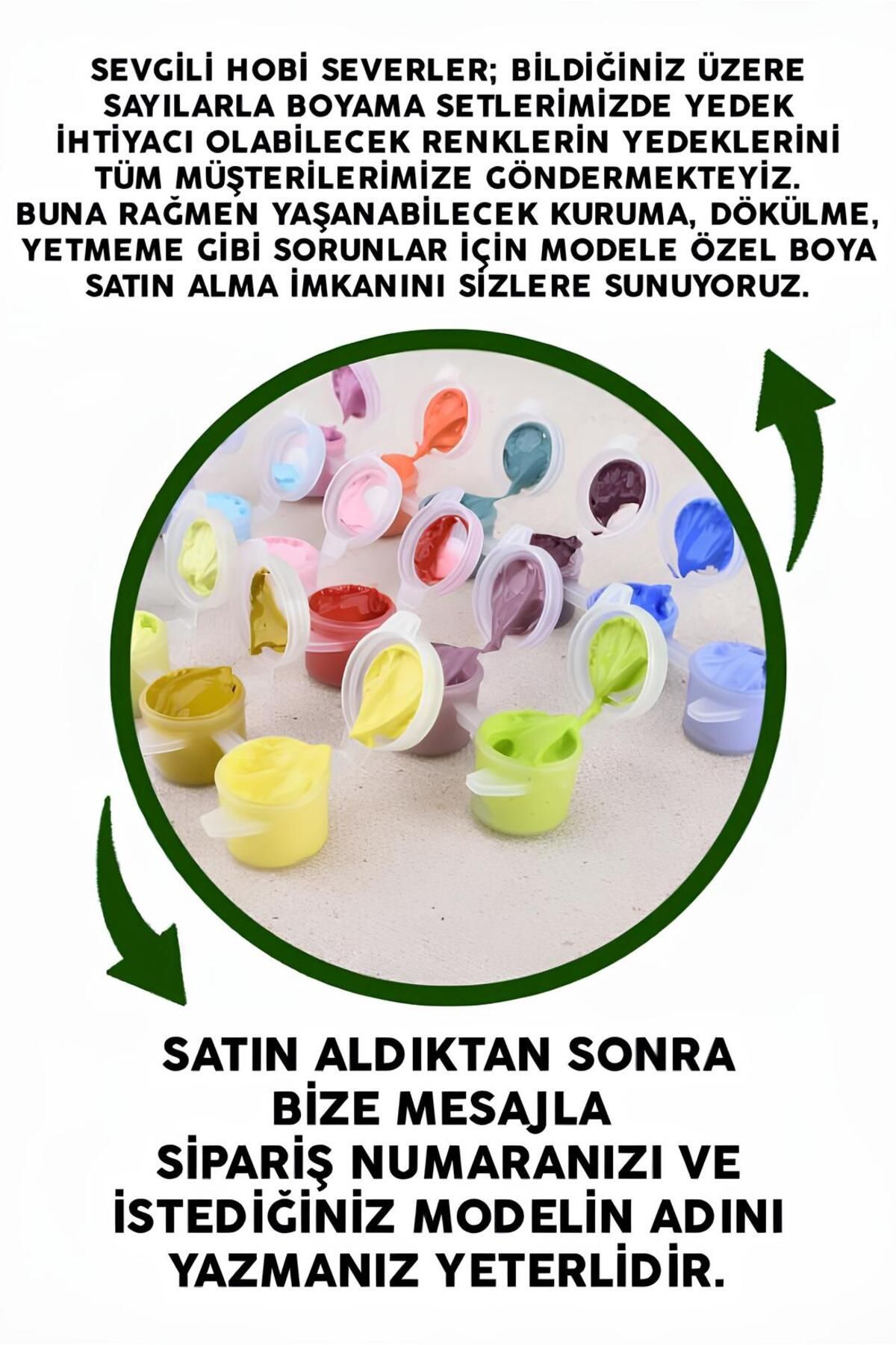 Modele Özel Tüm Renkleri İçeren Boya Seti Sayılarla Boyama