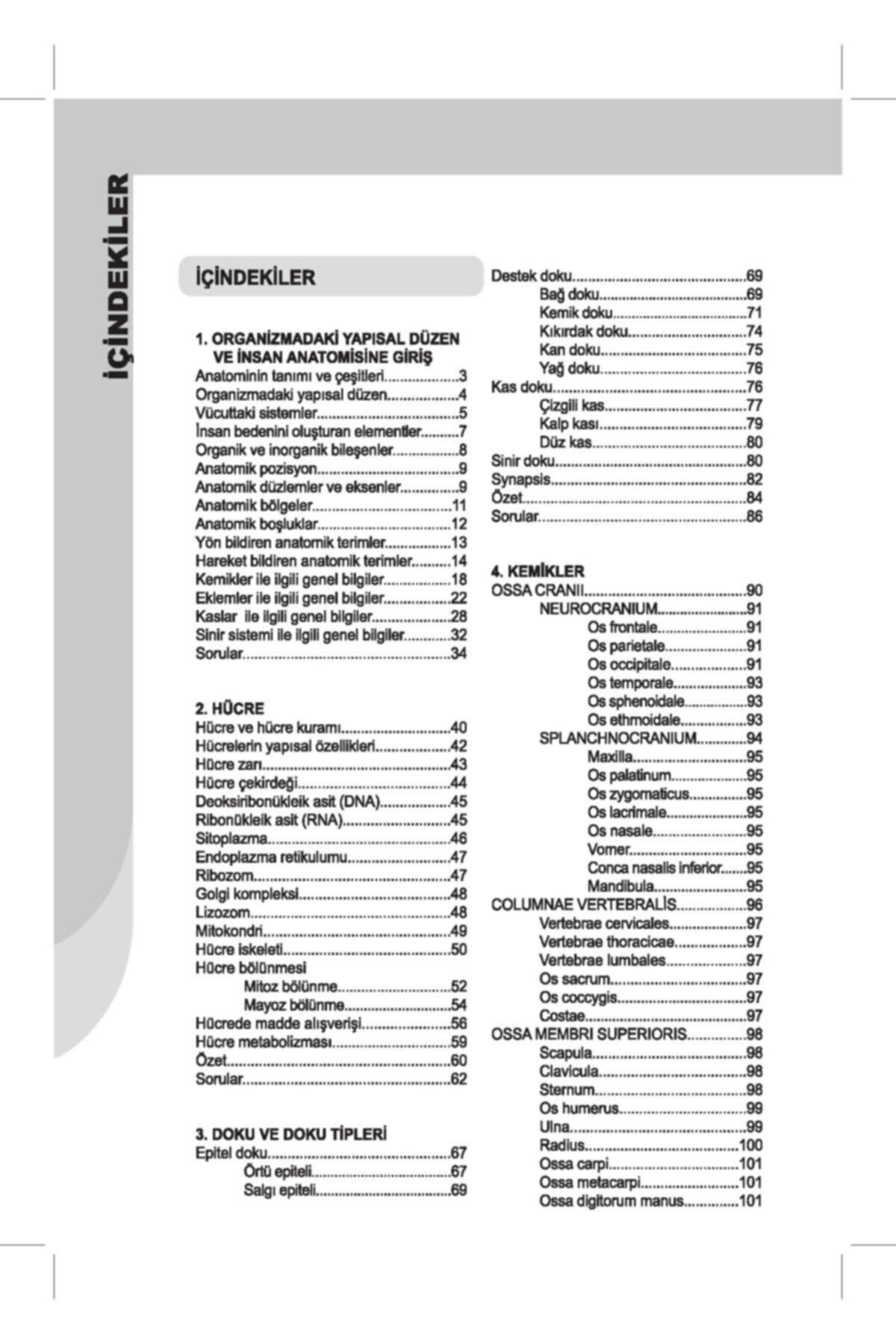 İnsan Anatomisi ve Fizyolojisine Giriş