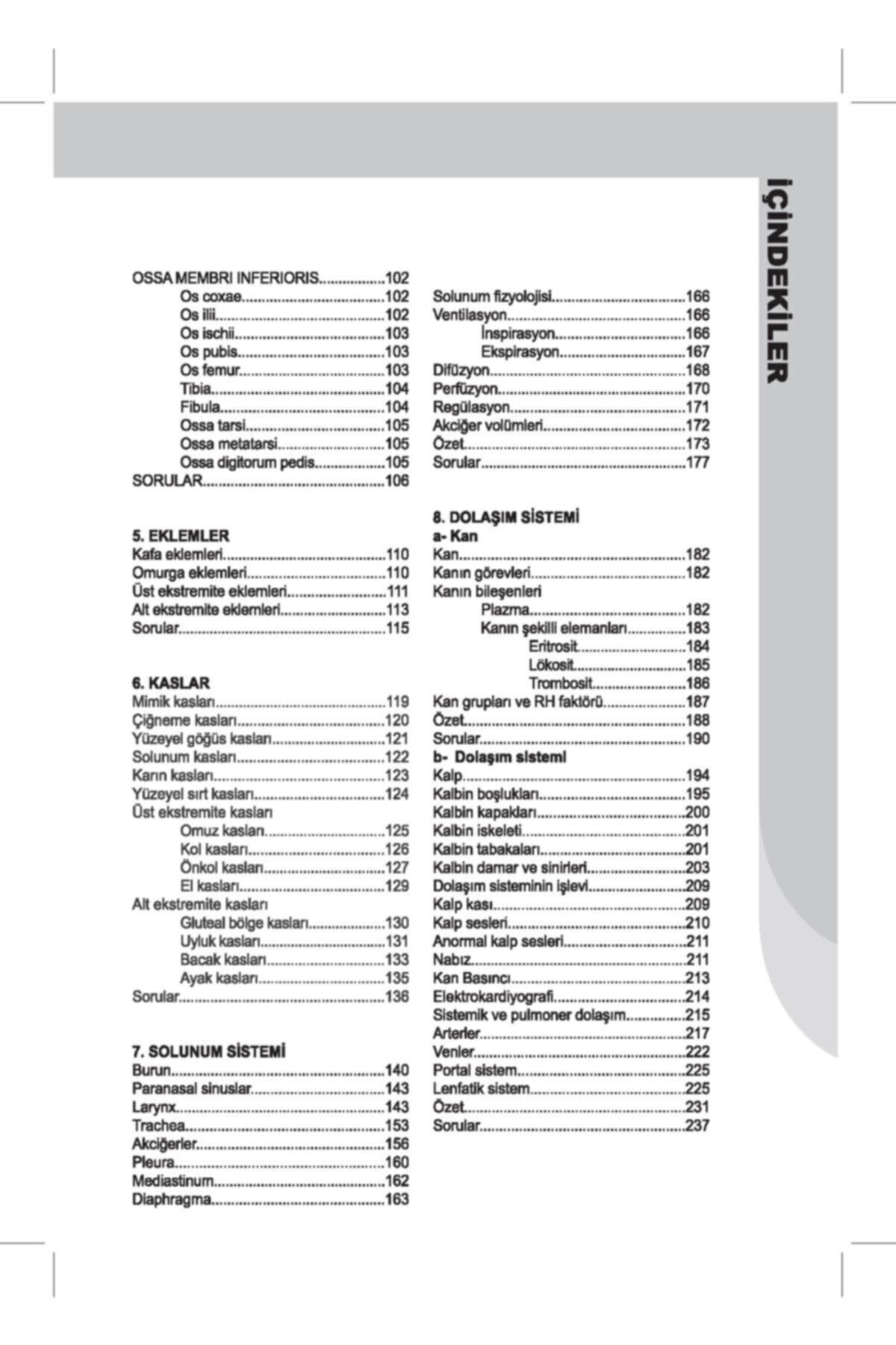 İnsan Anatomisi ve Fizyolojisine Giriş