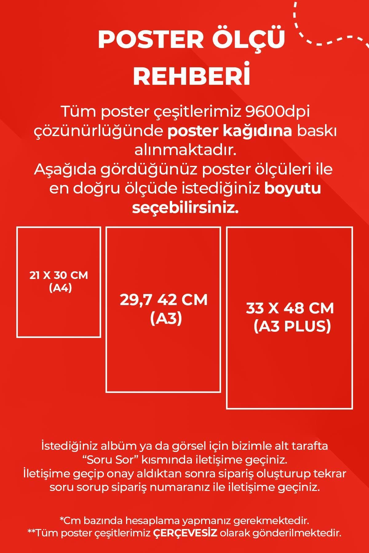 Büyük Ev Ablukada - Fırtınayt Baskılı Duvar Posteri Çerçevesiz