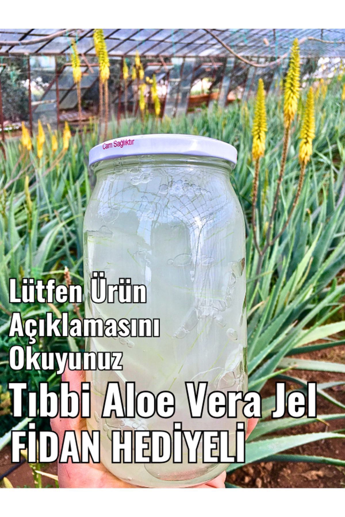 Saf Aloe Vera Jeli 210 Ml, Anti Aging, Hediyeli, Aloe Vera Leaf Juice